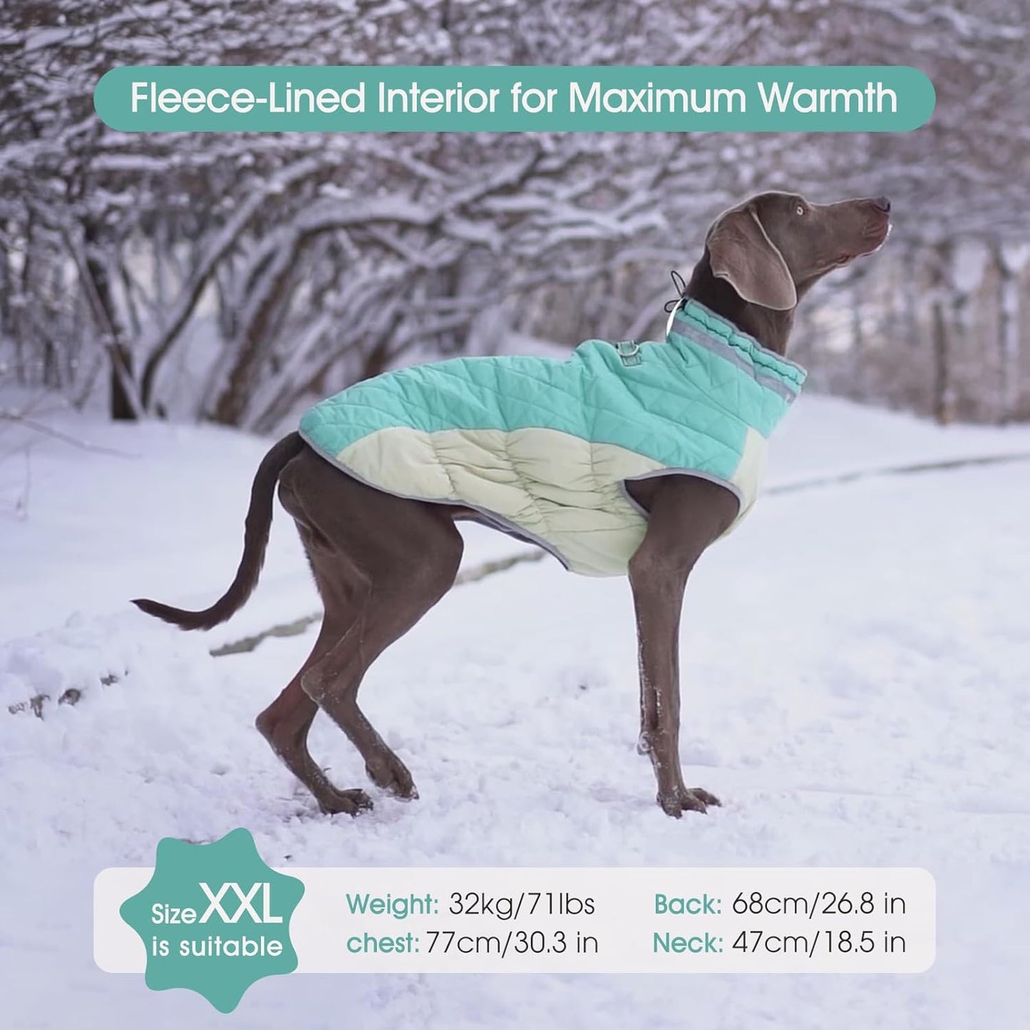 FUAMEY Dog Coat for Large Dogs,Waterproof Dog Winter Jacket with Harness Built in Puppy Cold Weather Coats Reflective Pet Vest with Zipper Warm Fleece Dogs Snowsuit Windproof Mint Green XXXL