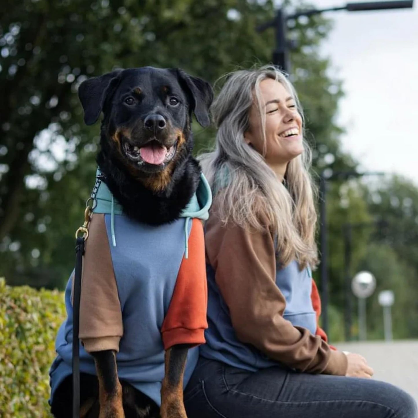 Spark Paws Dog Hoodie – Premium Dog Sweater for Small, Medium, and Large Dogs | Warm Outfits for French Bulldogs, Pitbull, Puppy, Winter Jacket Alternative - Alpine - L