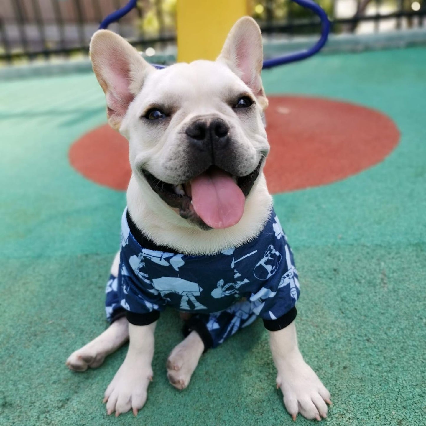 CuteBone Small Dogs Outfit Soft Puppy Onesies Pjs Dog Pajamas Pet Coat Cat Apparel Comfy Doggie Jumpsuit Bodysuit for All Seasons P47L