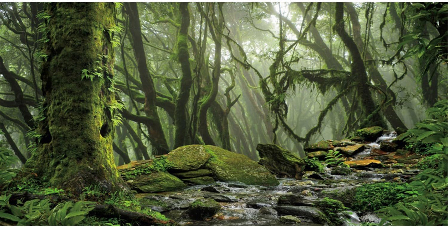 AWERT Foggy Forest Terrarium Background Stream Green Huge Tree Reptile Habitat Background Tropical Rainforest Aquarium Background 36x18 inches Durable Polyester Background