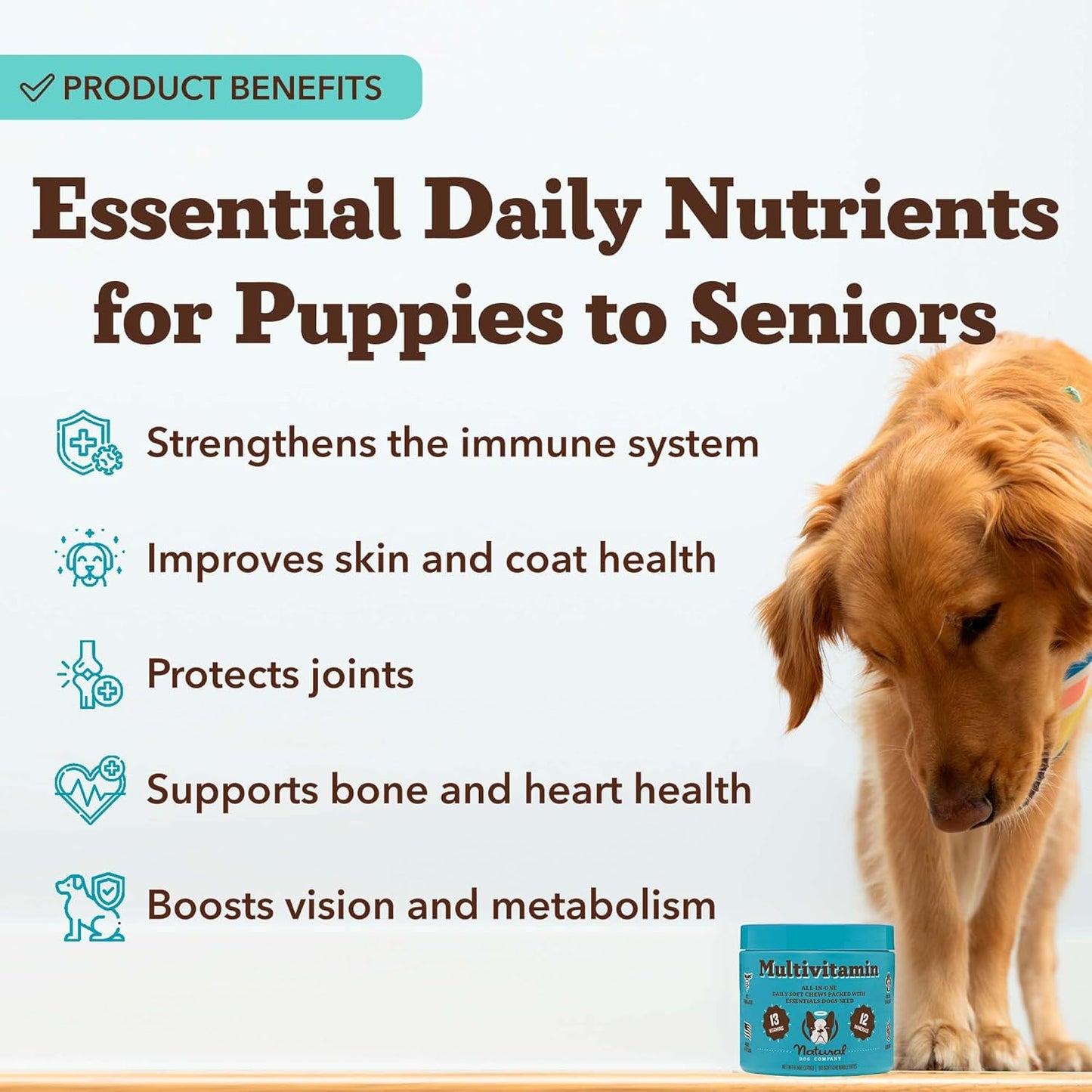 Natural Dog Company 25-in-1 Multivitamin Chews for Dogs – 180 Count Value Pack – Daily Soft Dog Vitamins with Antioxidants, Zinc & Folic Acid – Supports Joints, Skin & Coat, Immune & Heart Health