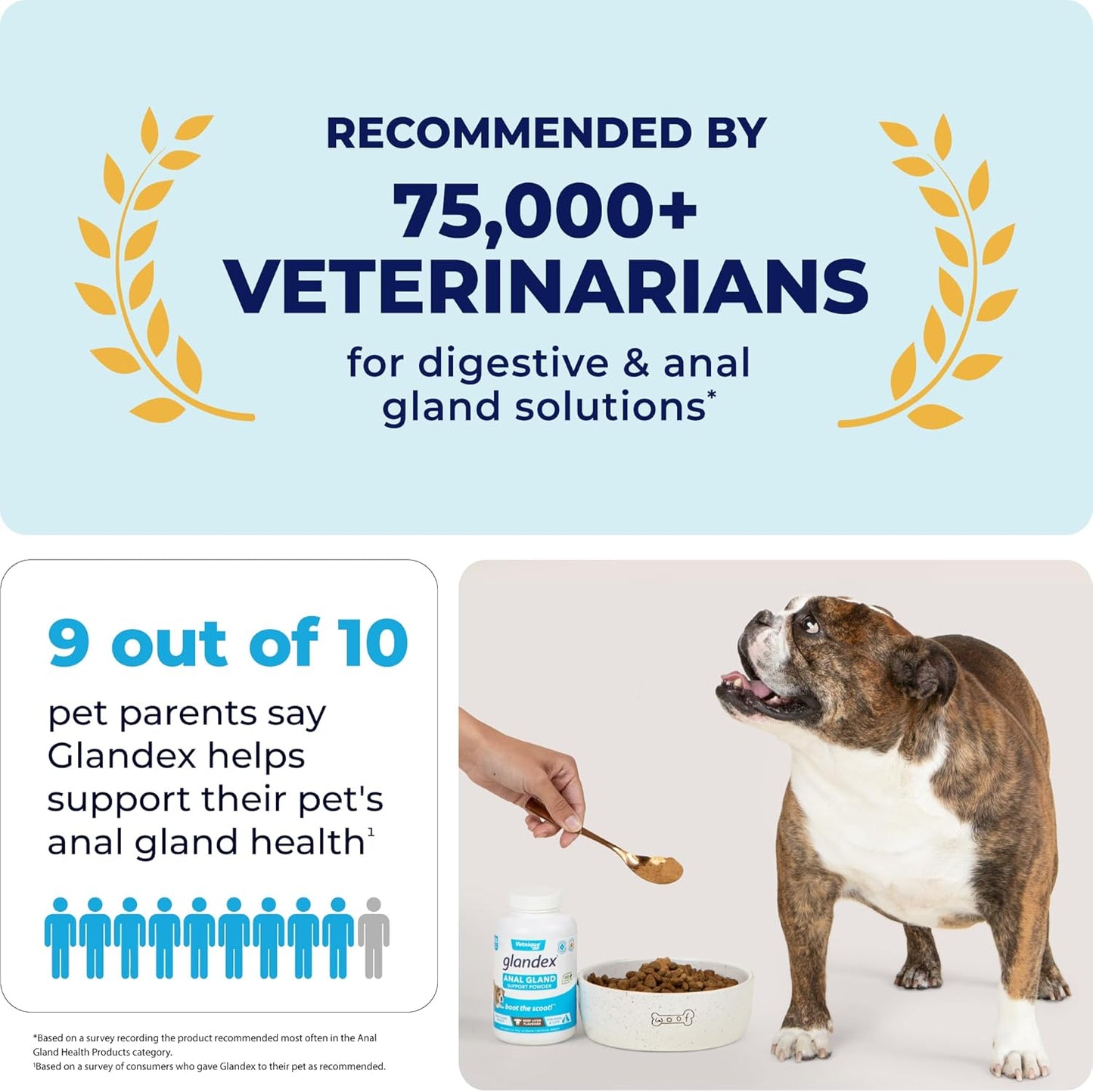 Vetnique Labs Glandex Dog Fiber Supplement Powder for Anal Glands with Pumpkin, Digestive Enzymes & Dog Probiotics for Digestive Health - Vet Recommended - Boot The Scoot (Vegan Salmon, 4.0oz Powder)