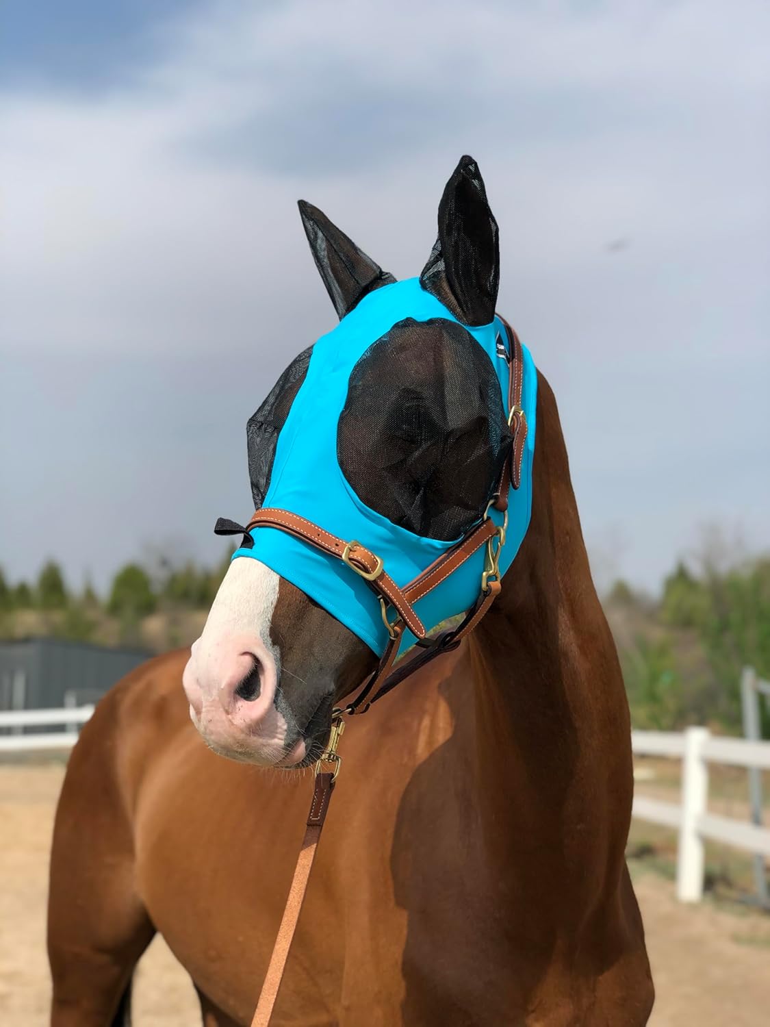 Horse Fly Mask Super Comfort Elasticity Horse Fly Mask with Ears We Only Make Products That Horses Like… (Pacific Blue, L)