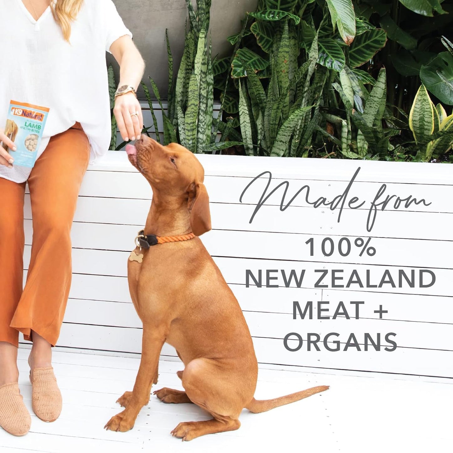 K9 Natural, Freeze-Dried Single Ingredient Dog Treats, High-Value, Low-Calorie Protein Bites for Active Dogs, Healthy Dog Training Treats, Grain-Free Reward, Beef & Organs, 1.76oz (Pack of 2)