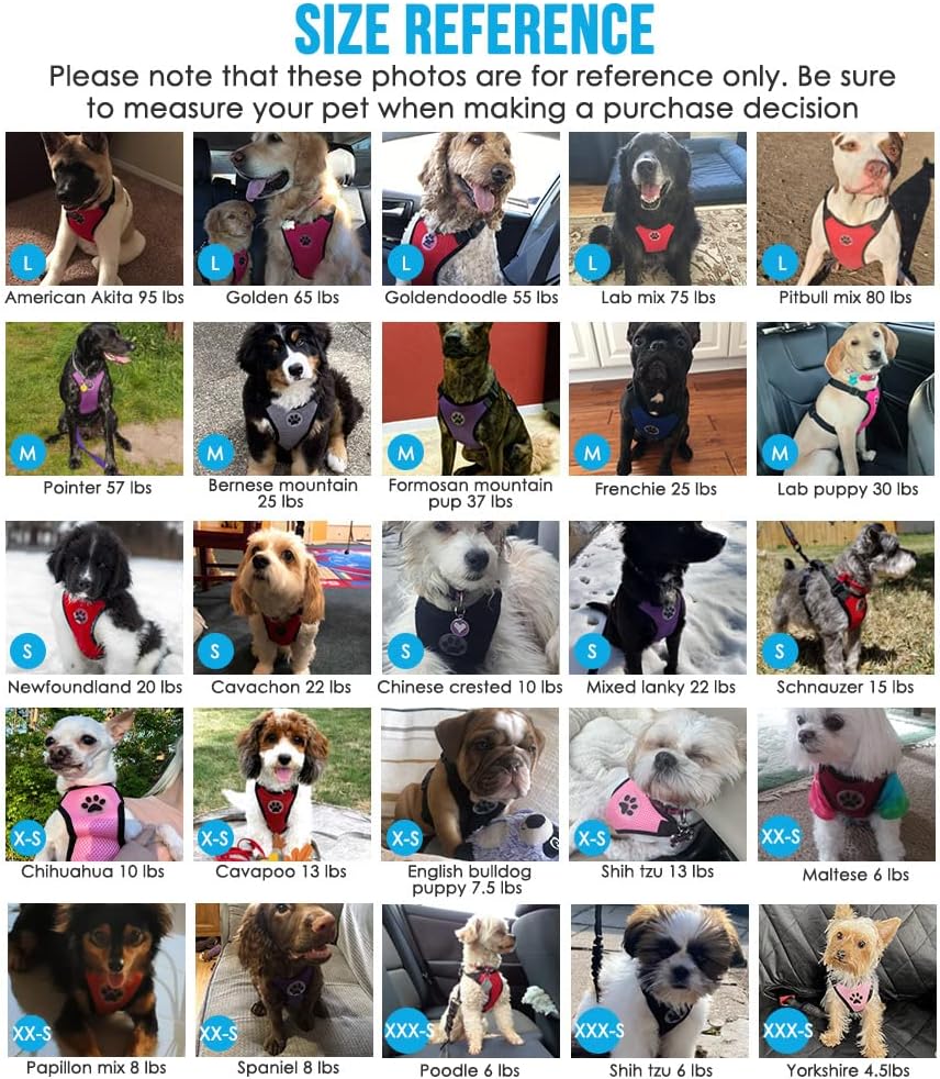 Lukovee Dog Seat Belt for Car, Adjustable Dog Car Harness for Large Medium Small Dogs, Soft Padded & Breathable Mesh Dog Seatbelt with Car Strap and Carabiner(Blue Double Clip,Small)