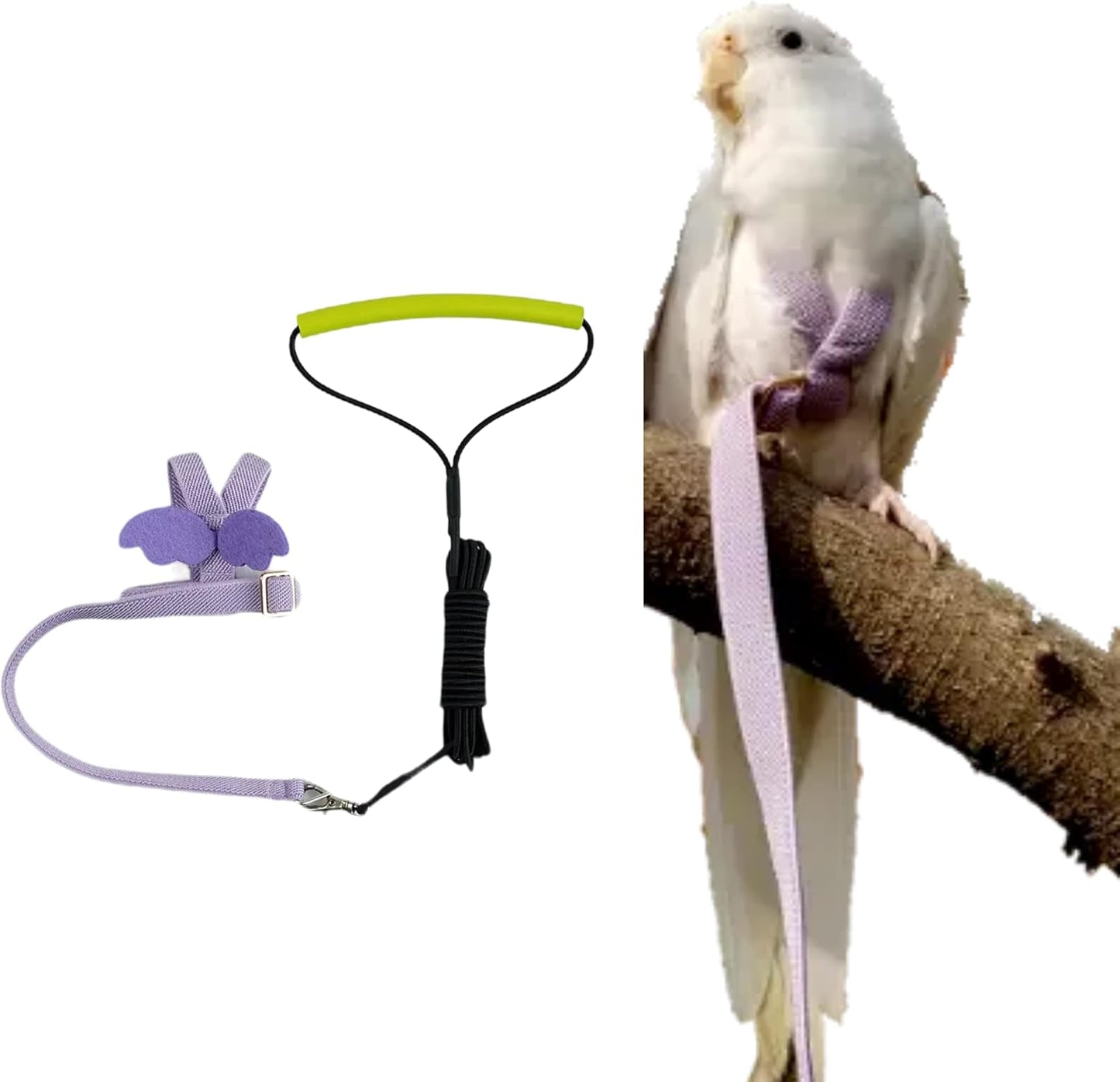 Pet Parrot Bird Harness Leash Adjustable Bird Flying Harness Traction Rope with Cute Wing for Parrots Pigeons Budgerigar Lovebird Cockatiel Mynah Outdoor Training Toy (L, Purple)