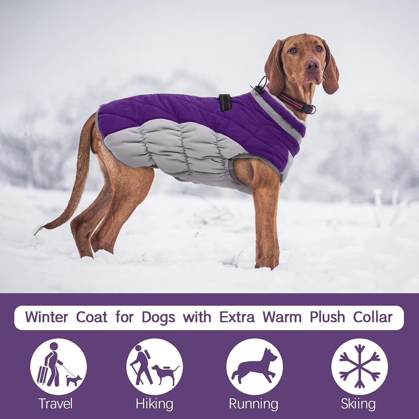 FUAMEY Dog Coat for Large Dogs,Waterproof Dog Winter Jacket with Harness Built in Puppy Cold Weather Coats Reflective Pet Vest with Zipper Warm Fleece Dogs Snowsuit Windproof Purple XXL