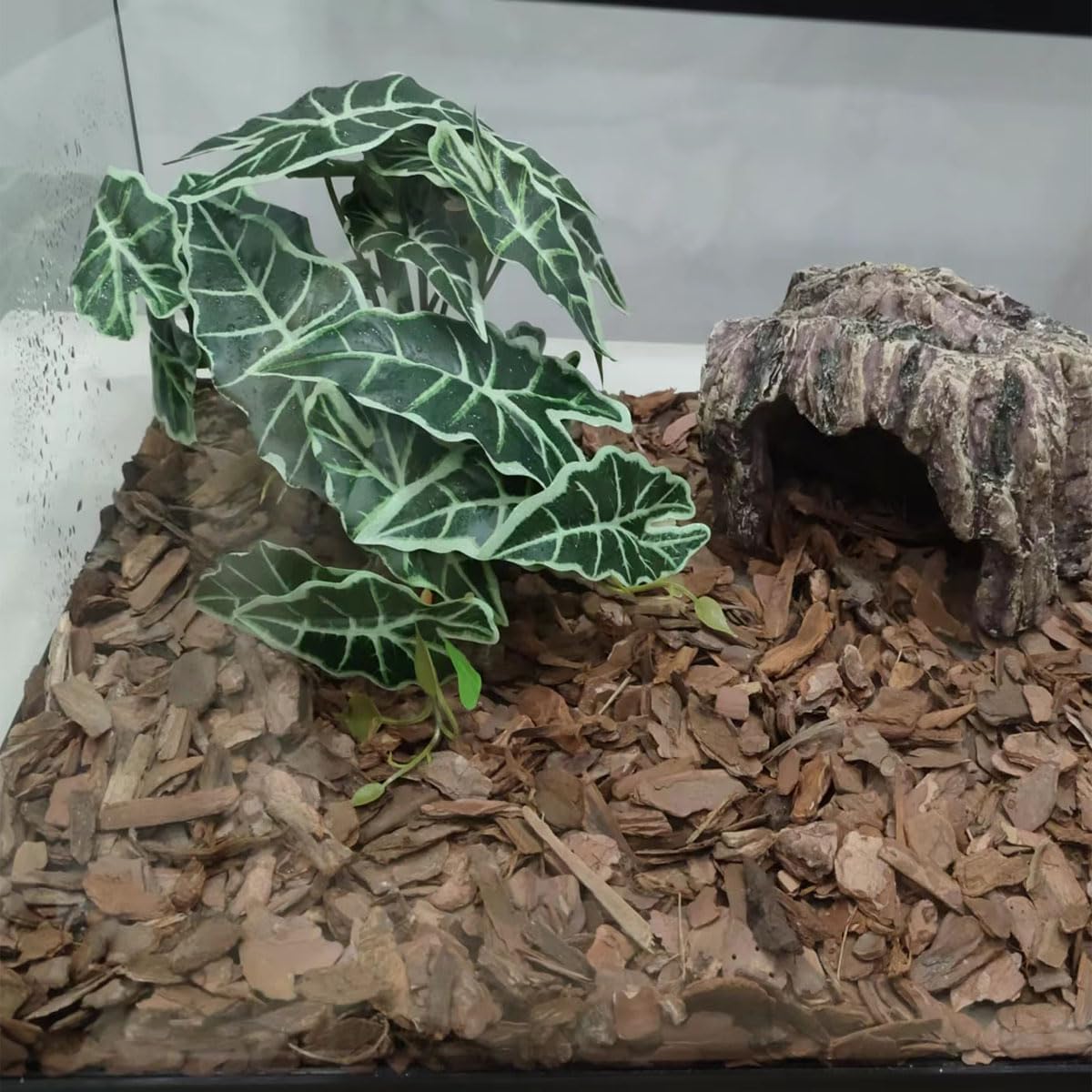 Reptile Plants,Terrarium Decor,Amphibian Habitat Decor,Artificial Plants for Gecko Chameleon Snake Tortoise Tank Accessories with Base(Alocasia)