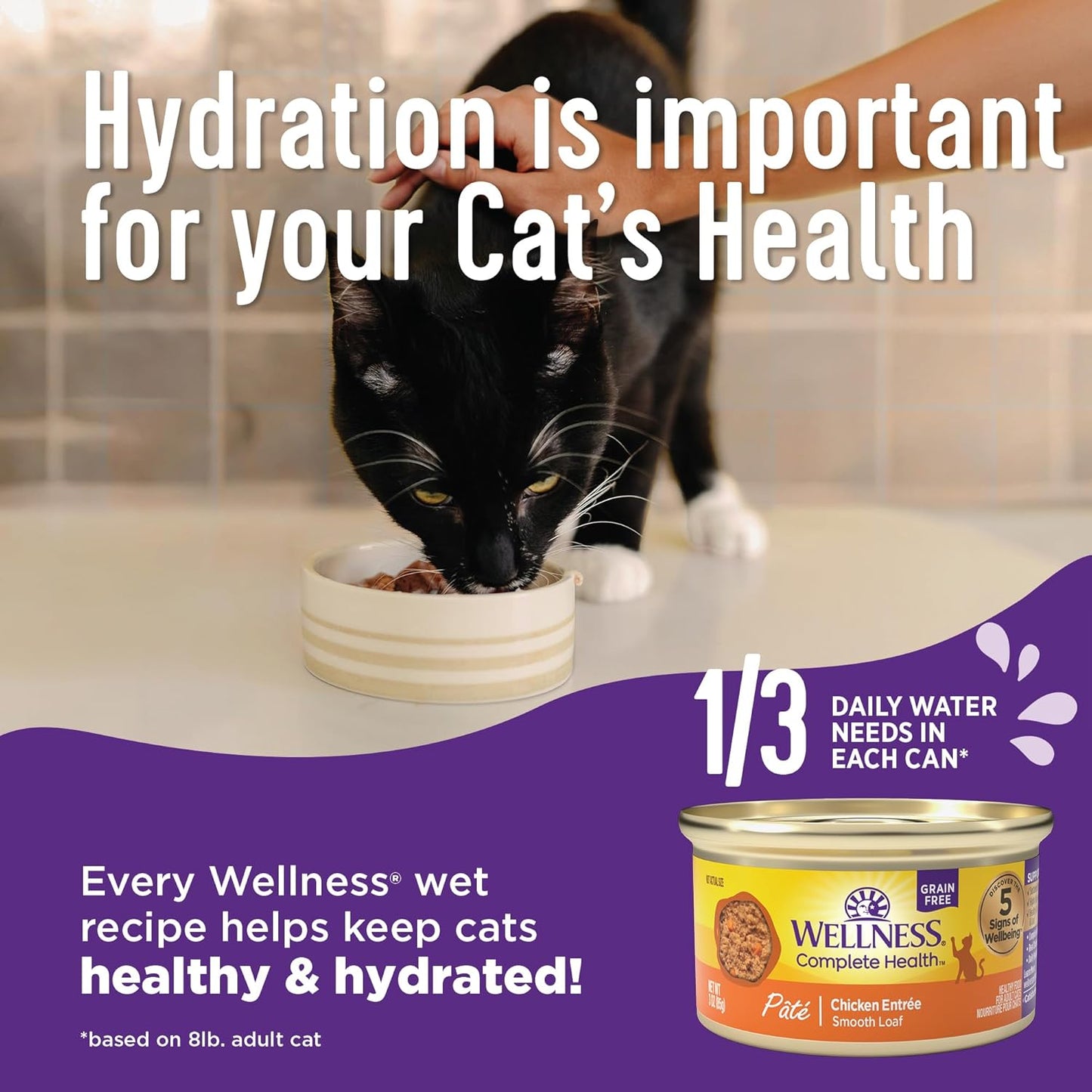 Wellness Complete Health Cubed Adult Wet Cat Food, Natural, Protein-Rich, Grain Free, 5.5 Ounce, 24 Pack, (Tuna Entrée)