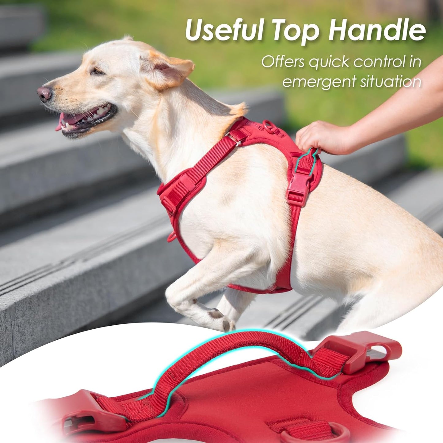 No Pull Dog Harness, Puppy Vest with Front Clip for Small Medium Large Sized Dog(Burgundy Red,S)