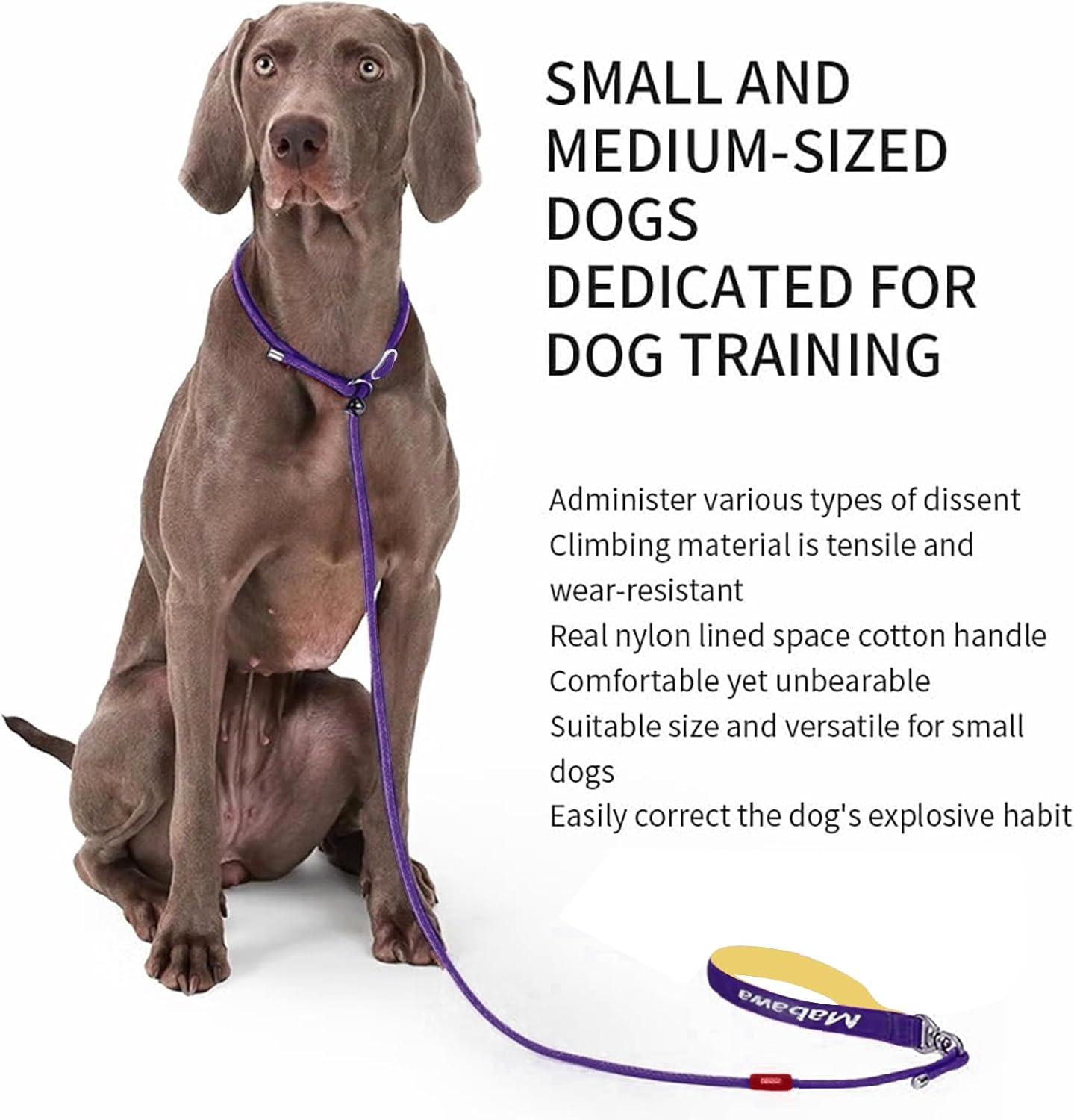 Dog Anti-Slip Leash 5FT with Metal Stopper - Durable No-Pull Training Lead for Small, Medium & Large Dogs - Comfortable Handle Nylon Rope, Tangle-Free Pet Walking Leash (Purple, 5.6FT)