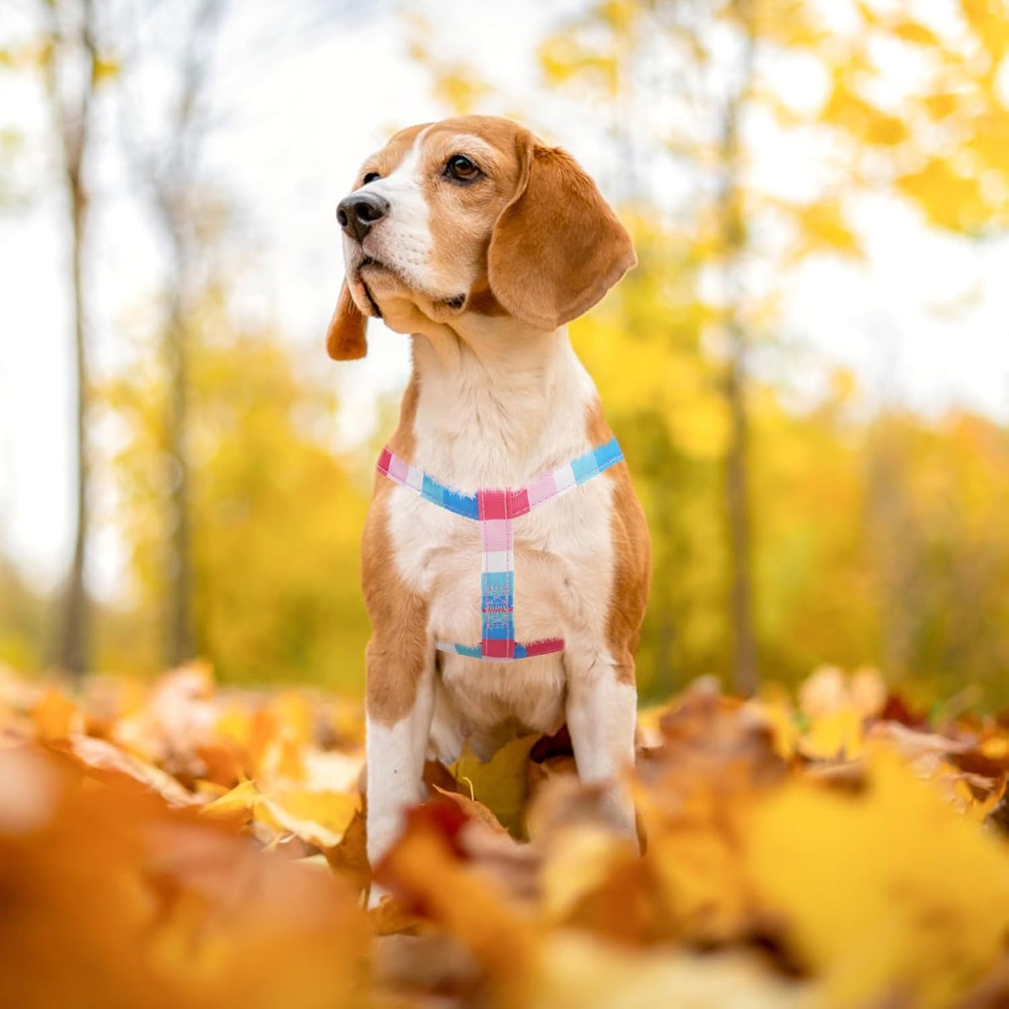 PUPTECK No Pull Dog Harness Soft Adjustable Basic Nylon Step in Puppy Vest Outdoor Walking with ID Tag, Striped Pink, S