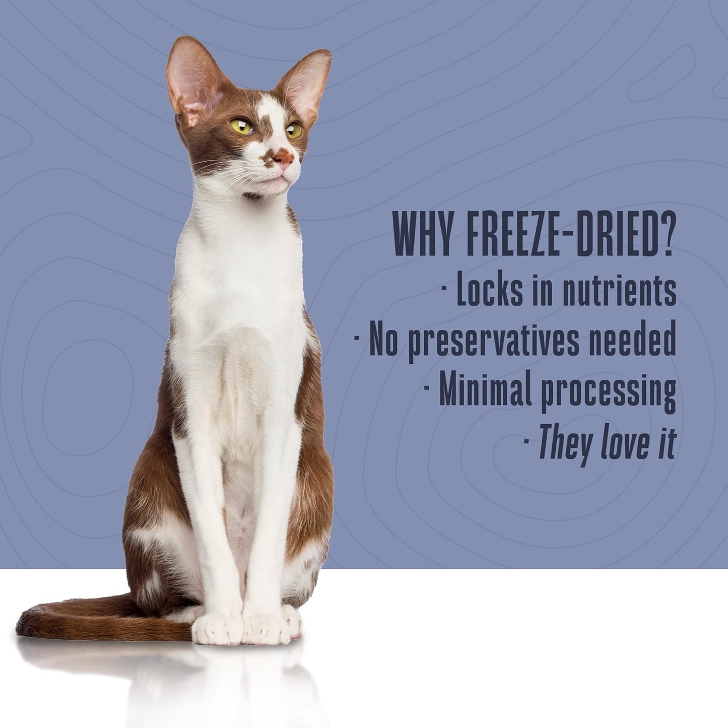 Whole Life Cat Freeze Dried Cat Food - Human-Grade Wet Food Toppers, Single Ingredient Snacks & Lickable Treats, Instantly Hydrating Natural Broth Just Add Water, Made in USA - Shredded Tuna, 3 Oz