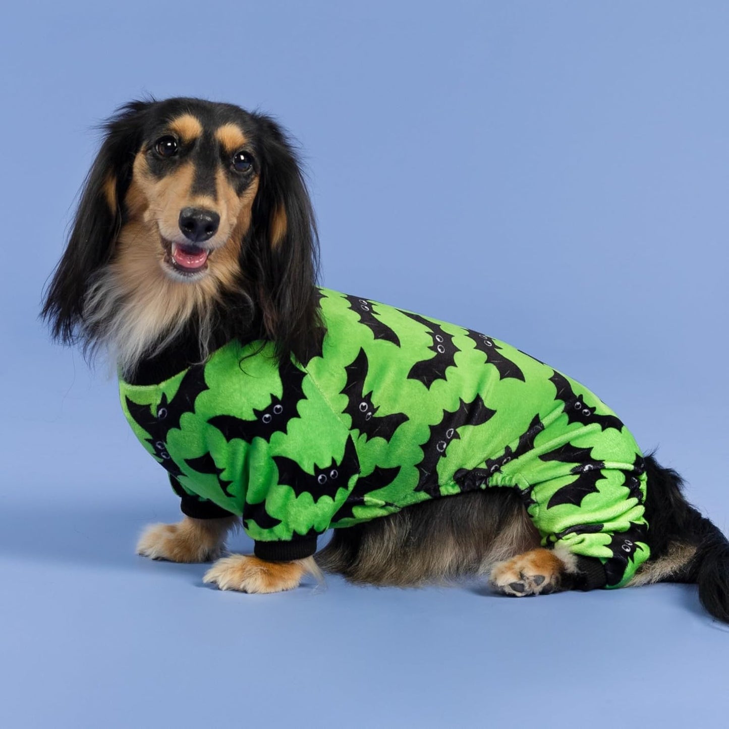 Fitwarm Halloween Bat Dog Pajamas, Funny Costumes for Small Dogs Boy Girl, Pet Outfit, Lime Green, Black, Medium