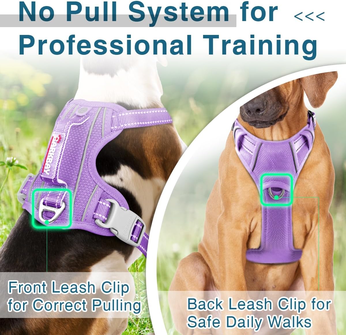 BARKBAY Dog Harness No Pull with ID Tag Pocket - Heavy Duty, Reflective, Easy Control for Large Dogs(Violet Purple,M)
