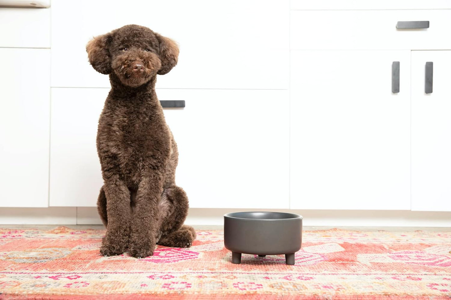 Waggo Uplift Ceramic Dog Bowl for Small Medium and Large Breeds - Heavyweight and Durable Pet Food and Water Dish Crock, Dishwasher Safe, Modern, Elevated Feeder (Small, Black)