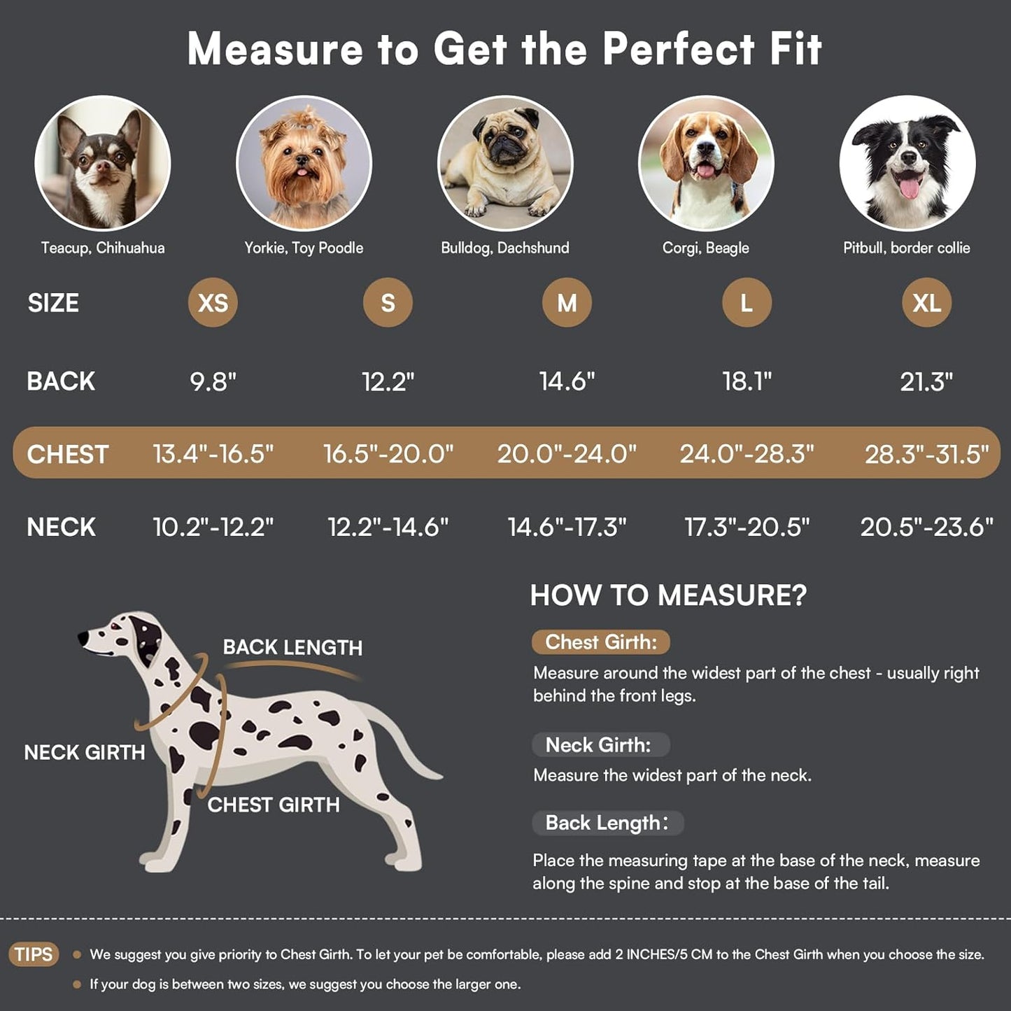 Queenmore Dog Winter Coat Warm Puffer Jacket Waterproof Plush Lining Thermal Cold Weather Vest for Small Medium Large Dogs, Windproof Easy On Pet Jacket Yellow M