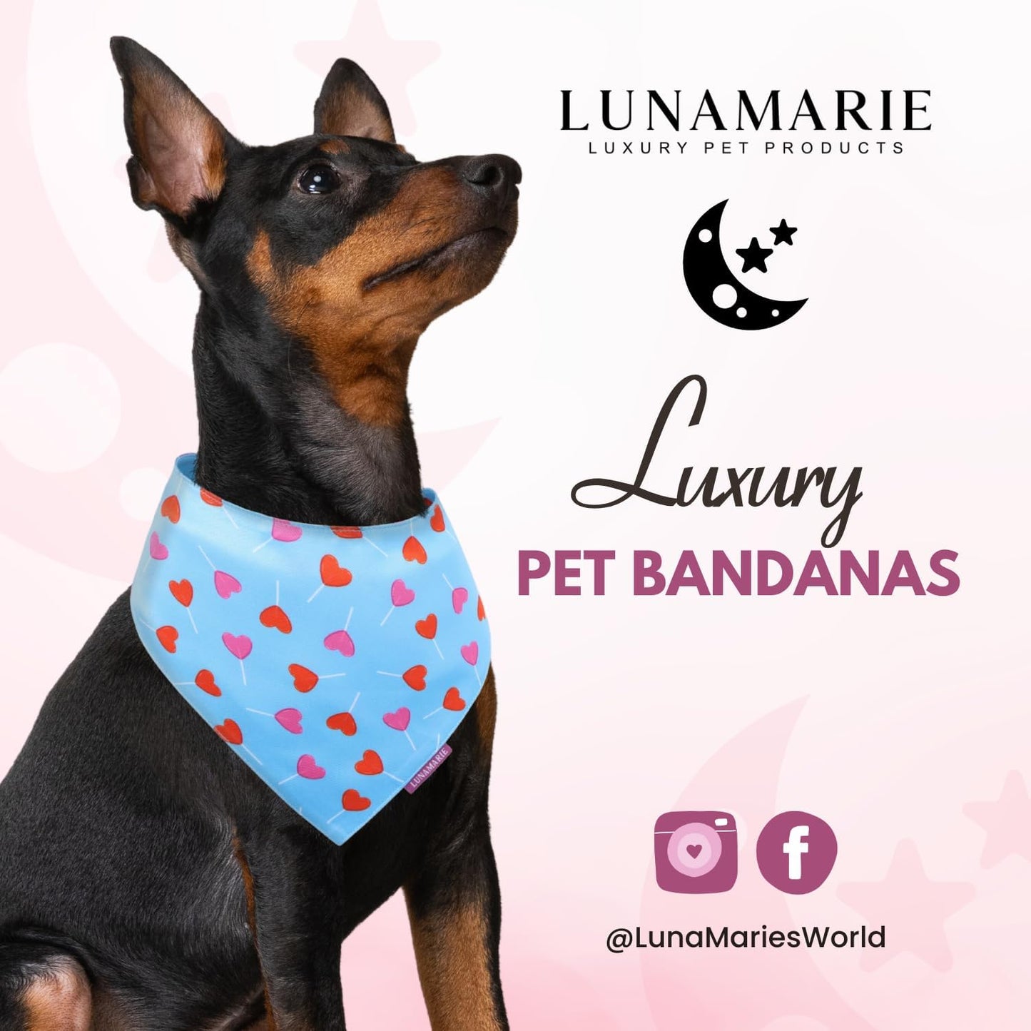 LunaMarie - Luxury Pet Birthday Bandanas -Premium & Silky Poly Fabric | 100% Handmade | Custom Shape Dual Layered (LoviePop, Small)