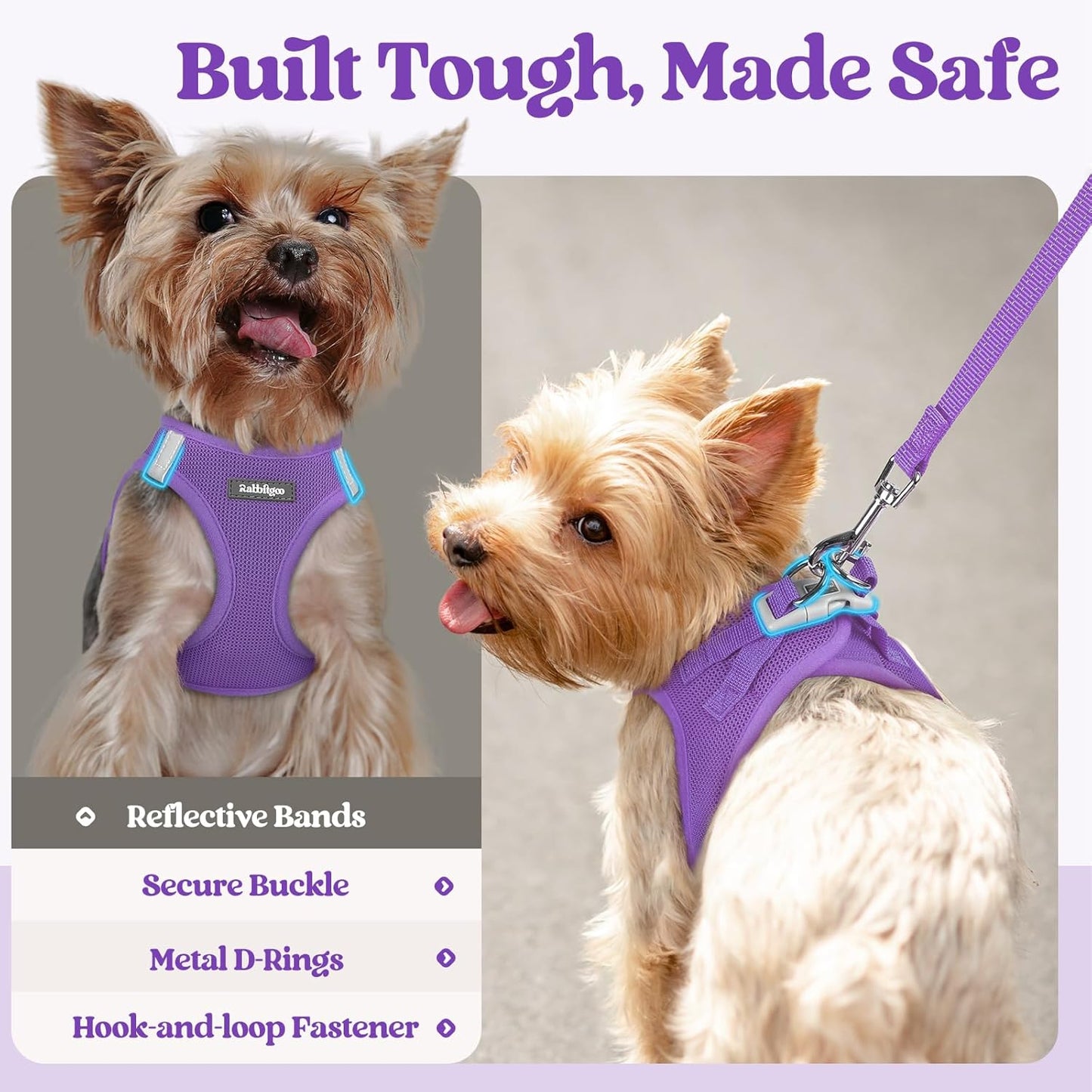 rabbitgoo Dog Harness Small Sized and Leash Set, Step in Soft Light Puppy Vest, Breathable Mesh Pet Harness, Reflective for Outdoor Safe Walking, Purple XXL