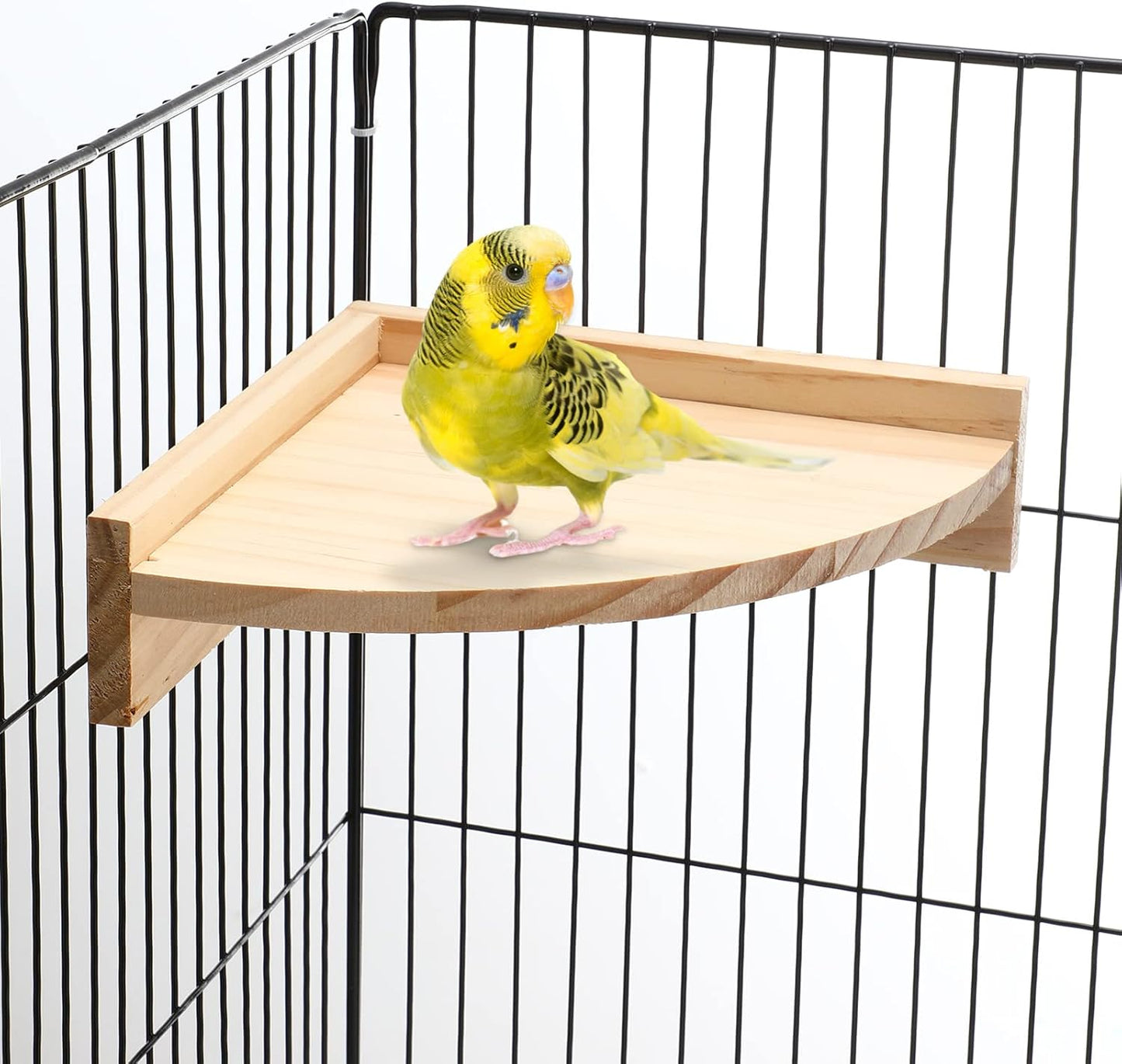 Wettarn 6 Pcs Bird Perch Platform Bird Corner Parrot Perch Corner Wooden Stand Sector Playground Cage Accessories Shelf for Parakeet Conure Cockatiel Budgie Gerbil Rat(7.1 x 7.1 Inch)