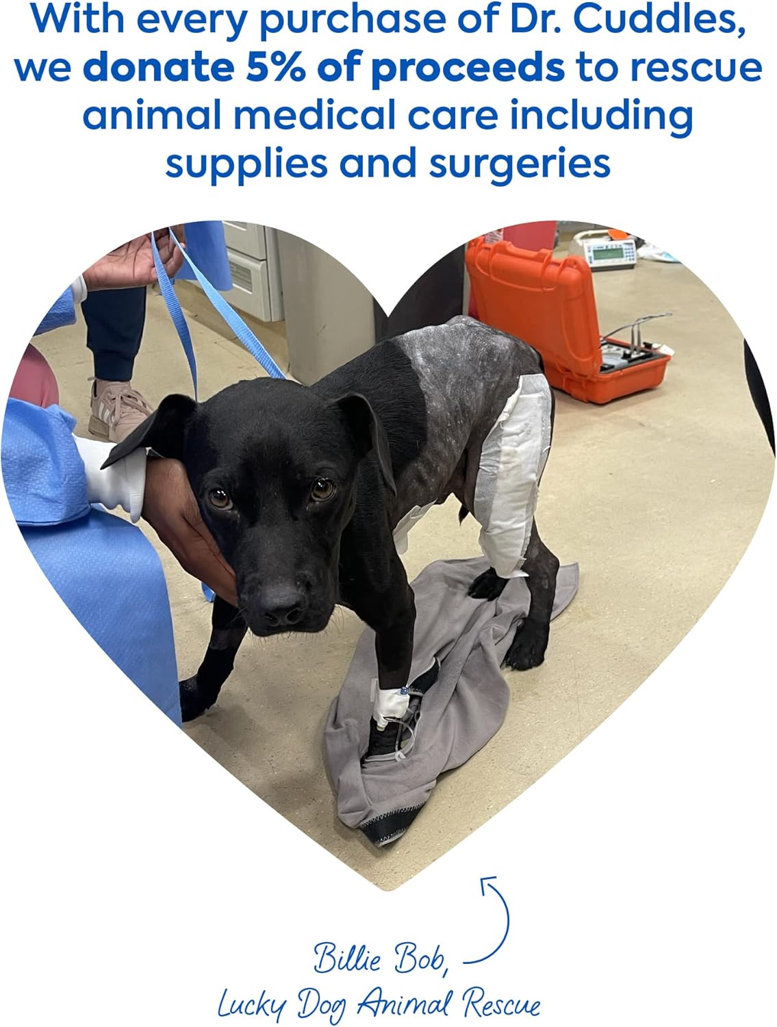 Foaming Dog Dry Shampoo, Travel Size Waterless Dog Shampoo No Rinse, Waterless Cat Shampoo, Natural Botanicals & Deodorant for Dogs & Cats, Vet Formulated, Cleans & Conditions, Summer Pawty Pack of 6