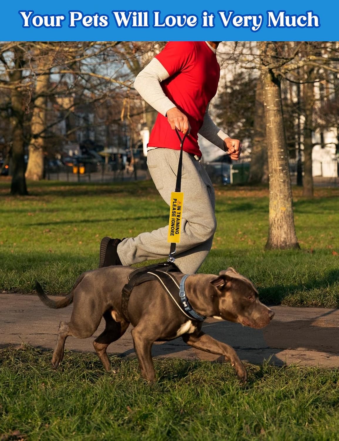 in Training Please Ignore Leash Sleeve, Funny Yellow Dog Alert Hanging ID Patch Tag, Do Not Pet Working Leash Wrap, Pet Birthday Gifts for Dog Owners
