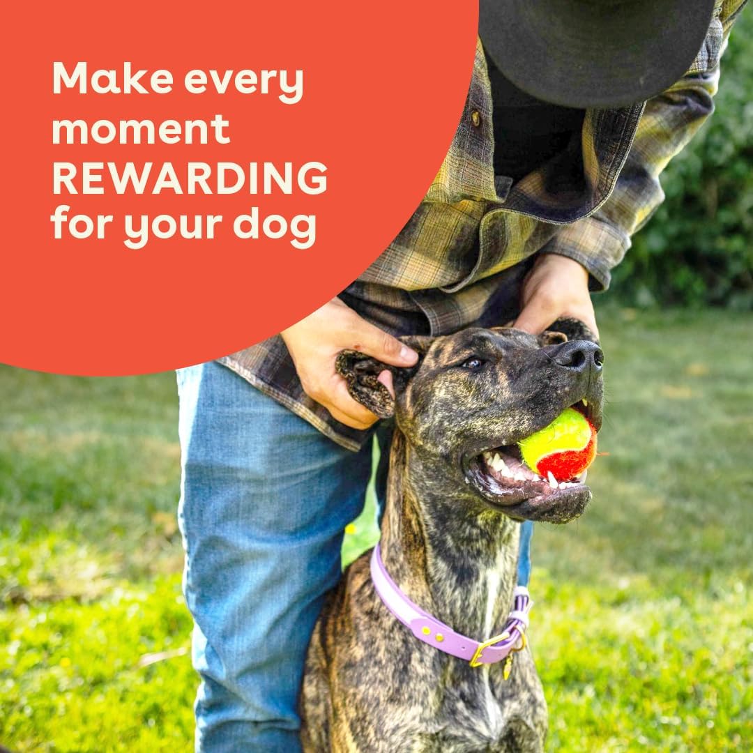 Pupford Freeze Dried Chicken Breast Treat for Dogs & Puppies - Healthy, Natural, Single Ingredient Dog Treats - Made in USA (5.75 oz)