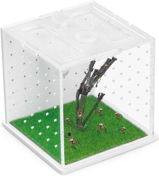 Acrylic Jumping Spider Enclosure, 2.95×2.95×2.87in Transparent Reptile Terrarium, Versatile Tarantula Enclosure for Small Reptiles/Insects, Small Reptile Tank with Dropper, Jumping Spider Accessories