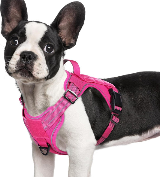 rabbitgoo Dog Harness Small Sized No Pull, Tactical Service Pet Vest with Molle and Control Handle, Adjustable and Reflective Military Harness for Easy Walking and Training, Rose Red, S