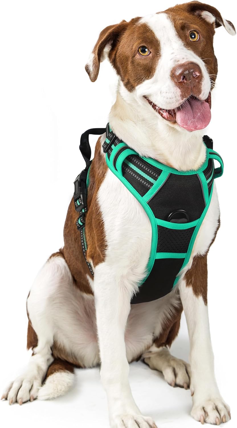 rabbitgoo Dog Harness No Pull with 2 Leash Clips, Adjustable Soft Padded, Reflective Oxford No Choke Pet Vest with Easy Control Handle for Large Dogs, Black & Turquoise, L