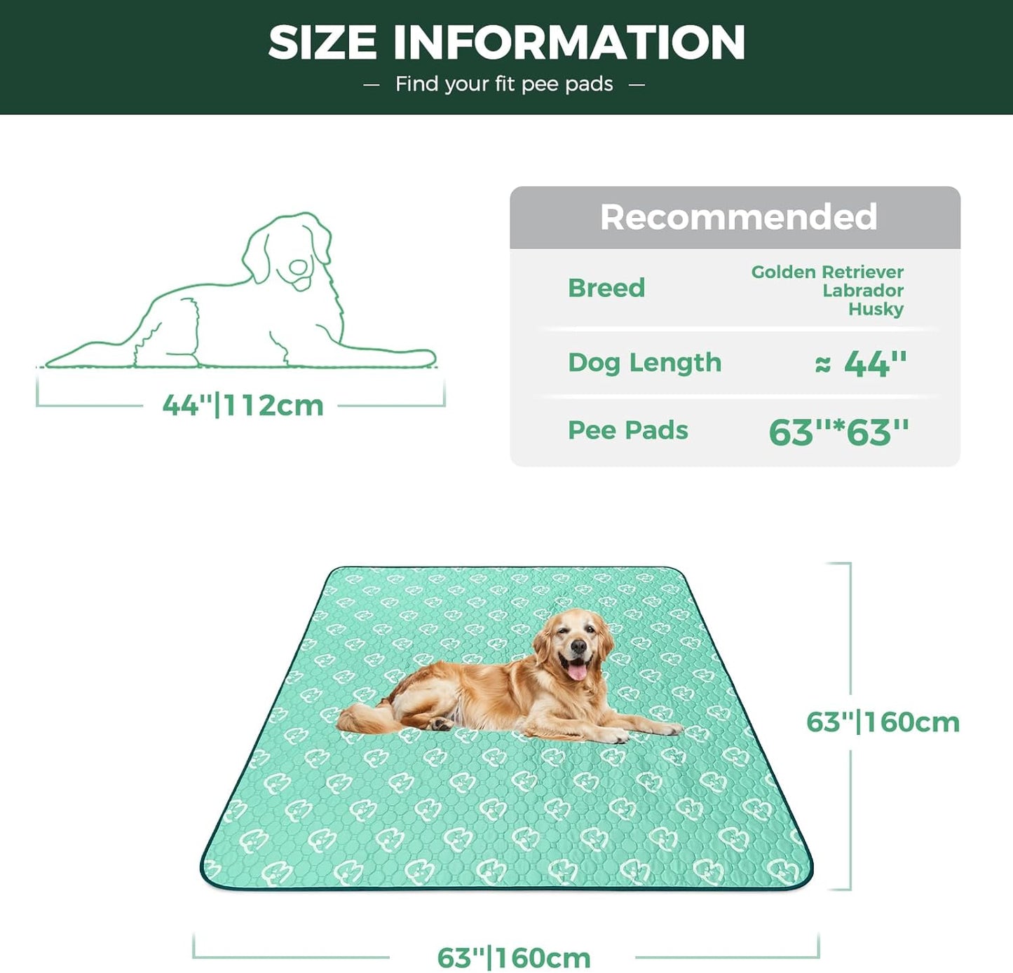 FXW Washable Pee Pads for Dogs, Puppy Pads with Super Absorbent, Specifically Designed for FXW Rollick/Homeplus 24inch 8 Panels Dog Playpen, 63" Square, Green, 1 Pack