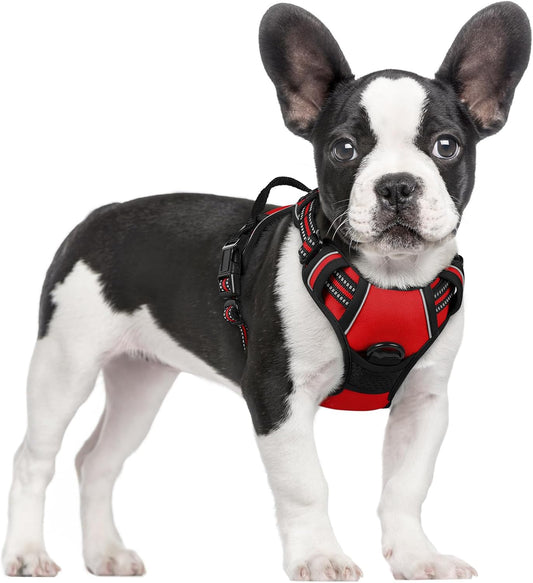 rabbitgoo Dog Harness No Pull with 2 Leash Clips, Adjustable Soft Padded, Reflective Oxford No Choke Pet Vest with Easy Control Handle for Small Dogs, Red, S