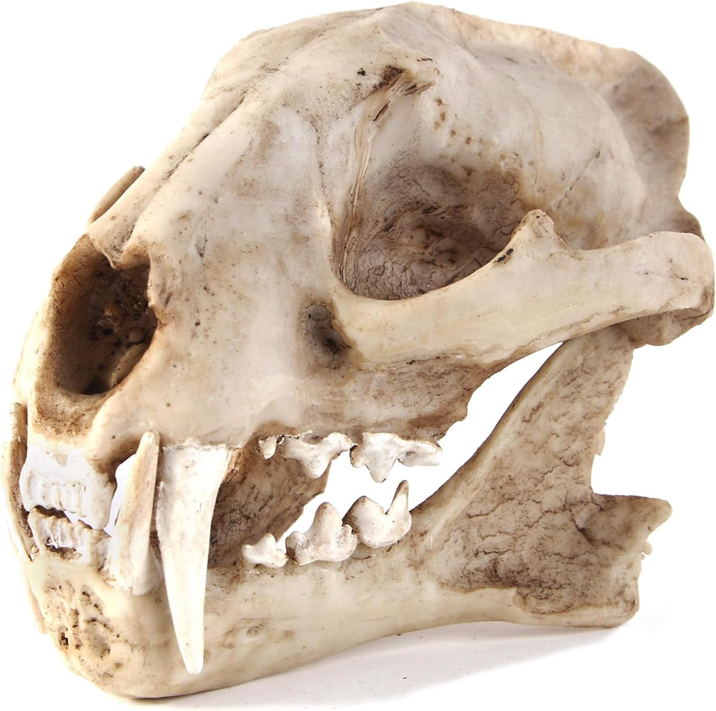 Aquarium Décor Cave Decorations Fish Hideout Betta Tarantula Reptile Snake for Terrarium Ornament Dinosaur Animal Skull Large Bones Halloween