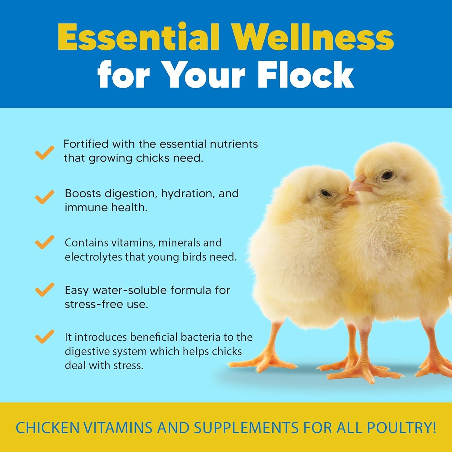 Equerry's Flock PRO Chick Boost Probiotic - Probiotics, Vitamins, Minerals and Electrolytes for Chickens | Chicken Vitamins and Supplements for All Poultry - 8oz