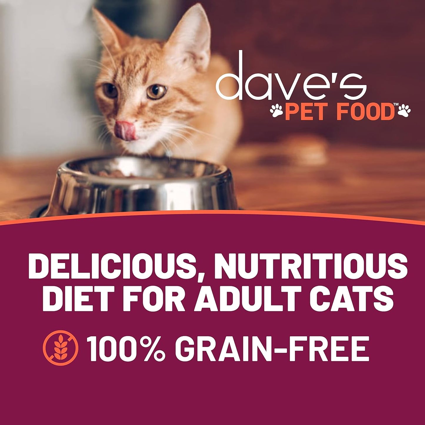Dave's Pet Food Grain Free Wet Cat Food (Tuna & Salmon in Aspic), Naturally Healthy Canned, Added Vitamins & Minerals, Wheat & Gluten-Free, 3 oz (24 Pack)