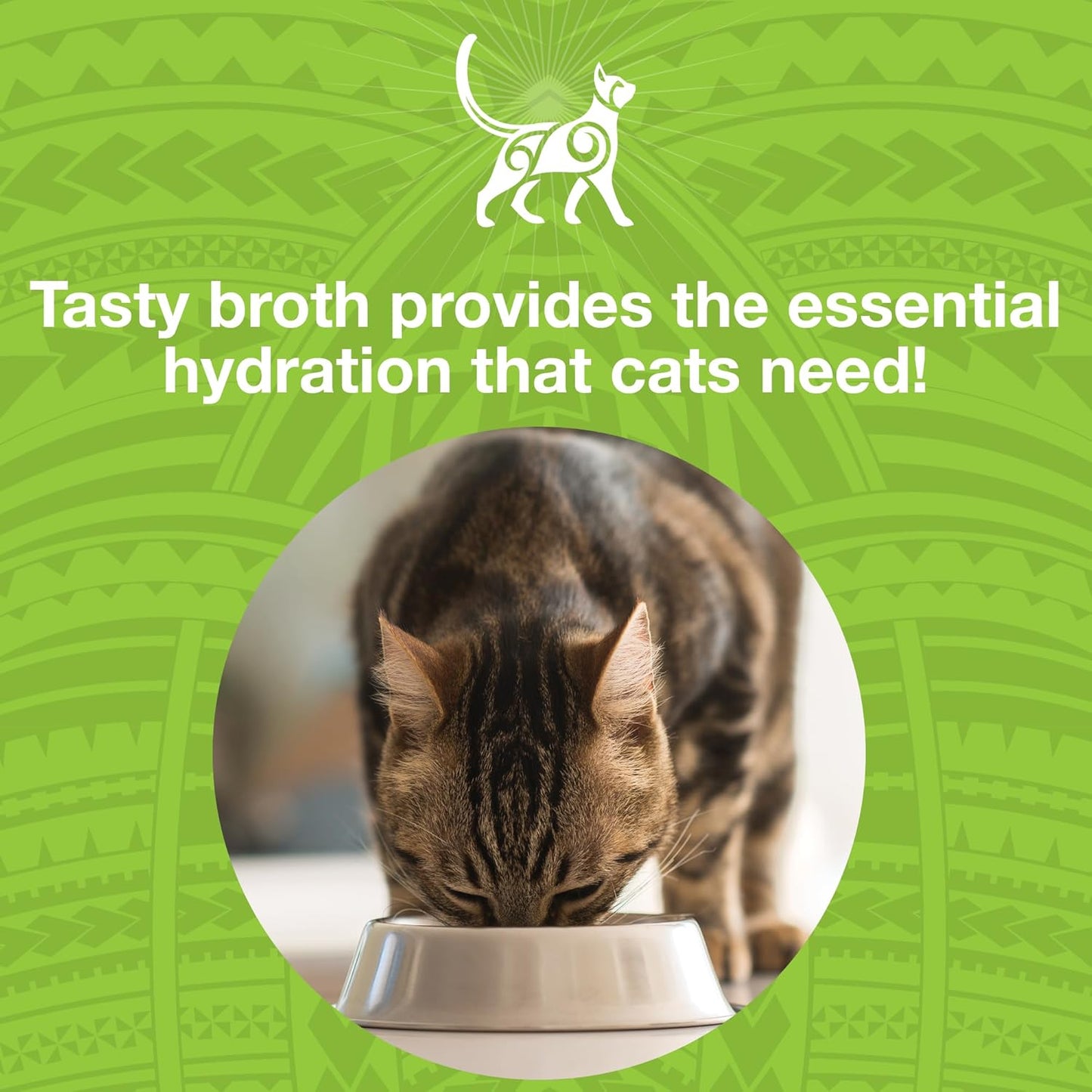 KOHA Pure Shreds Chicken and Duck Entrée for Cats, High Protein Wet Cat Food 2.8oz Cans (Pack of 24)