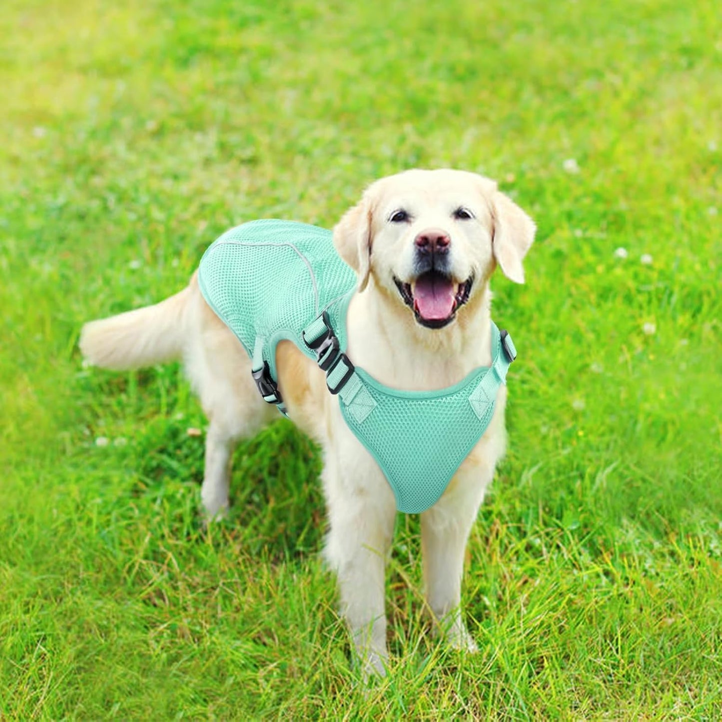 Kuoser Dog Cooling Vest for Large Dogs, Lightweight Doggie Cooler Jacket Breathable Mesh Pet Cooling Shirts Reflective Puppy Cool Harness for Beach, Hiking, Walking Green XL