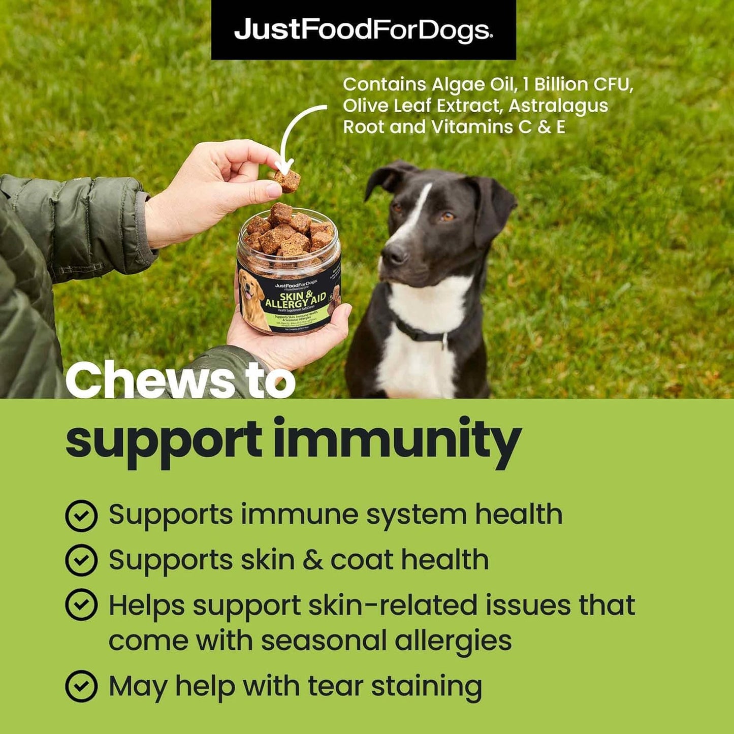 JustFoodForDogs Skin & Allergy Care Soft Chews Supplement for Dogs, Seasonal Allergies, Itchy Skin Relief, Inflammation, Immune Support - 45 Count