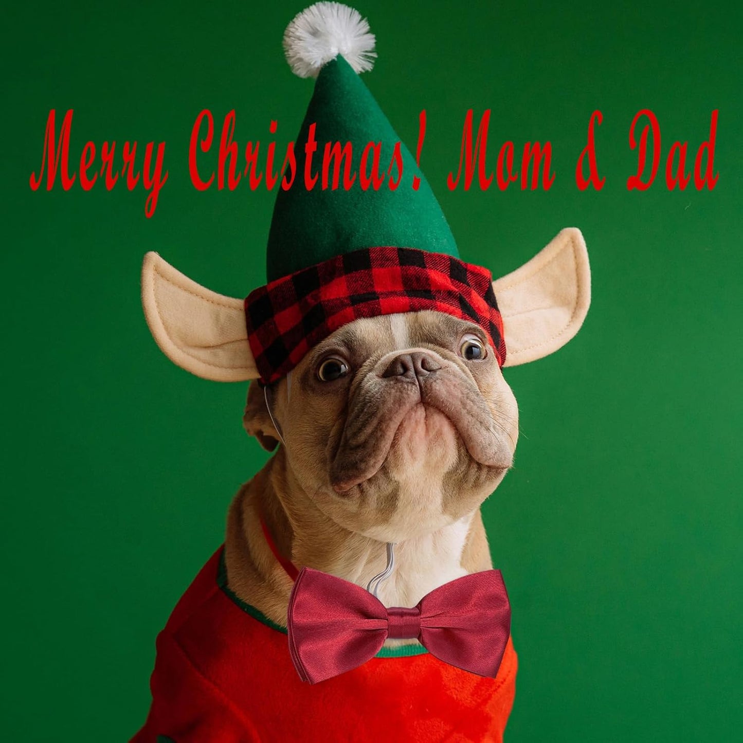 KOOLMOX Dog Bow Tie, Red Bow Tie with Adjustable Dog Collar for Medium and Large Dogs Cats Pets Wedding Birthday Party Holiday Homecoming Costumes, 1 Piece Wine Red