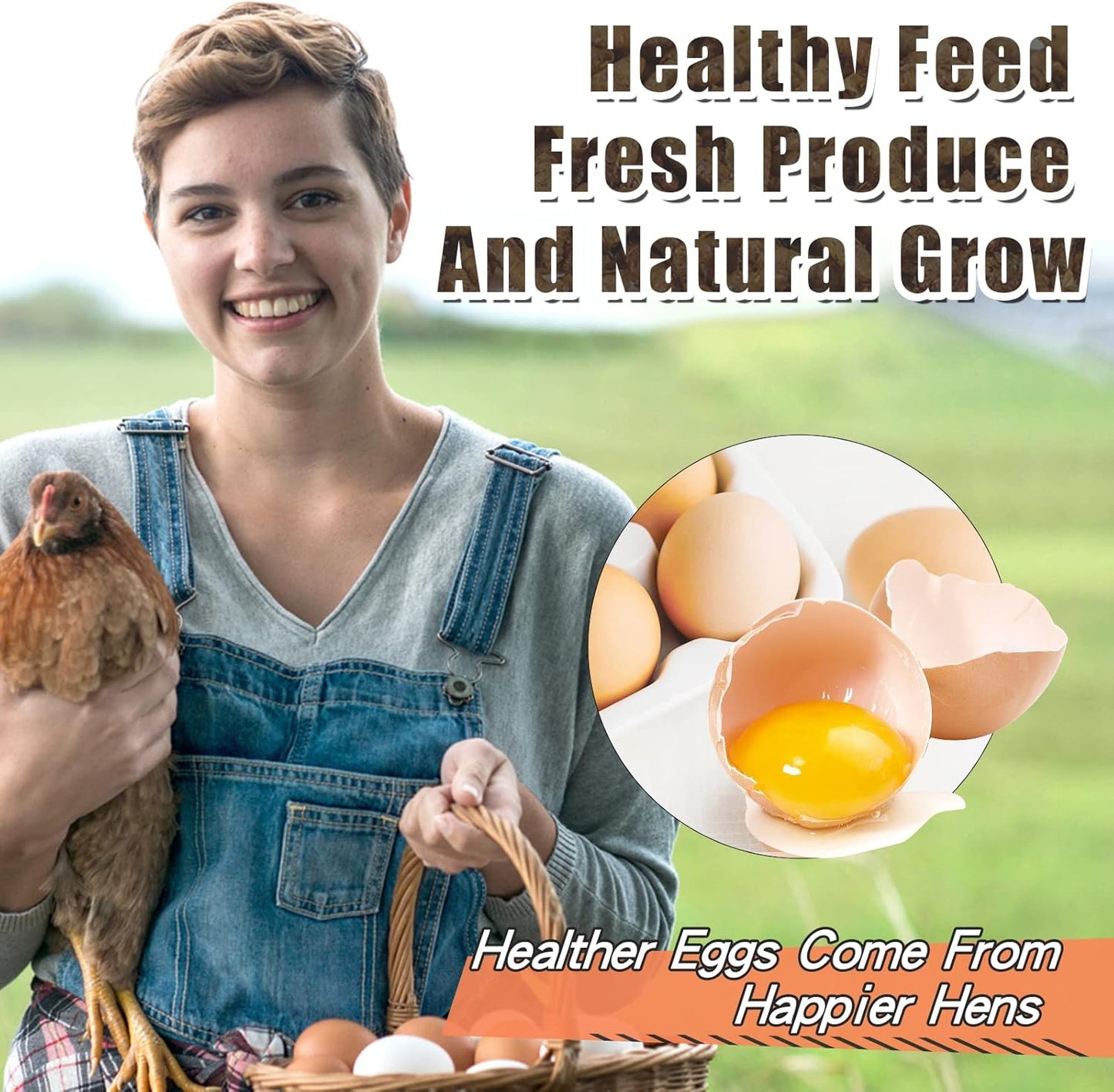 Dried Black Soldier Fly Larvae 44LBS, 85X More Calcium Than Mealworms High-Protein BSF Larvae Chicken Treats Non-GMO BSFL for Chickens, Hens, Ducks, Wild Birds