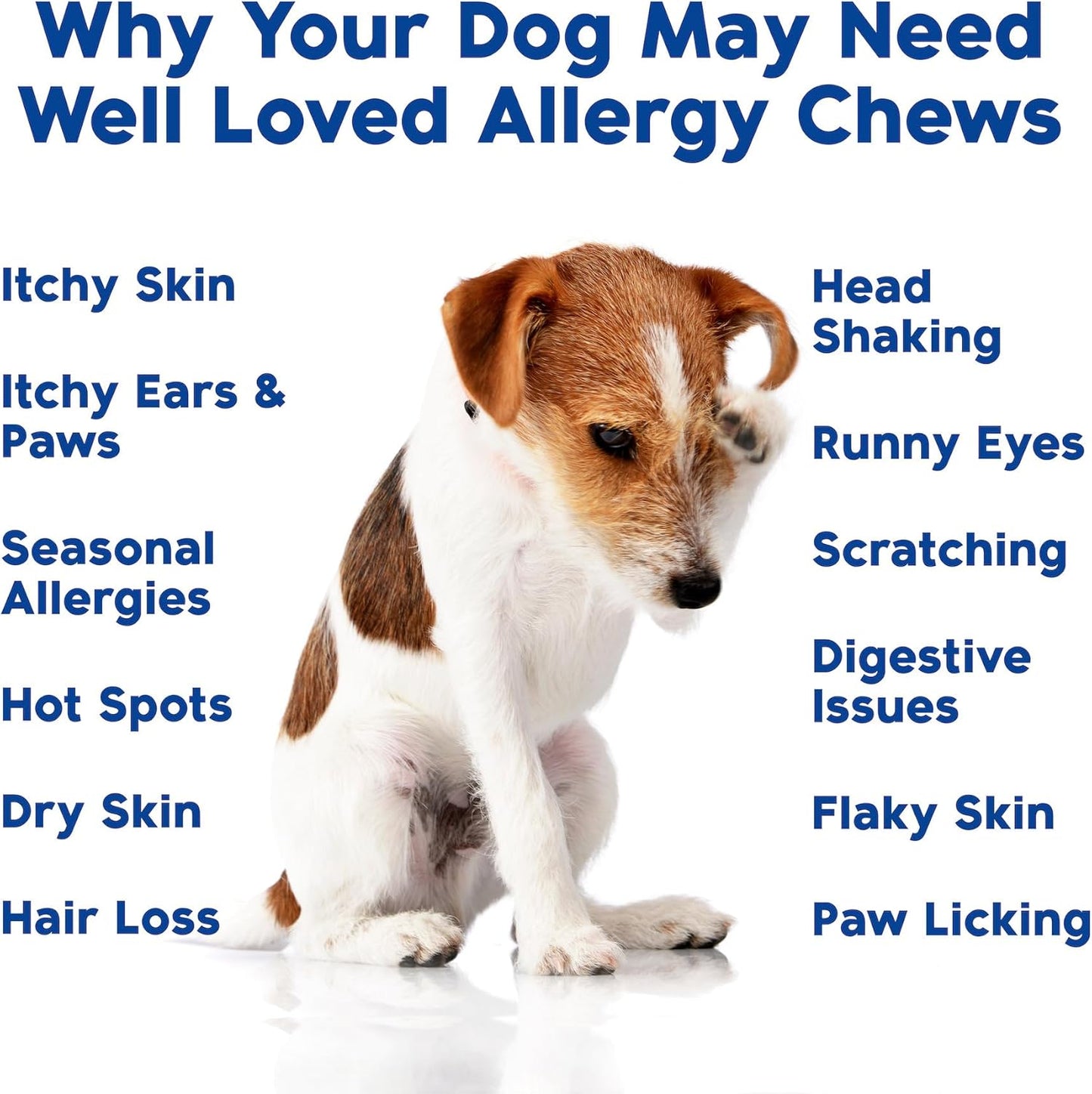 Dog Allergy Chews - Dog Allergy Relief, Itching Skin Relief, Hot Spot Treatment & Seasonal Allergies, Vet Developed, Anti Itch Skin Irritation Treatment, Made in USA, 120 Chews