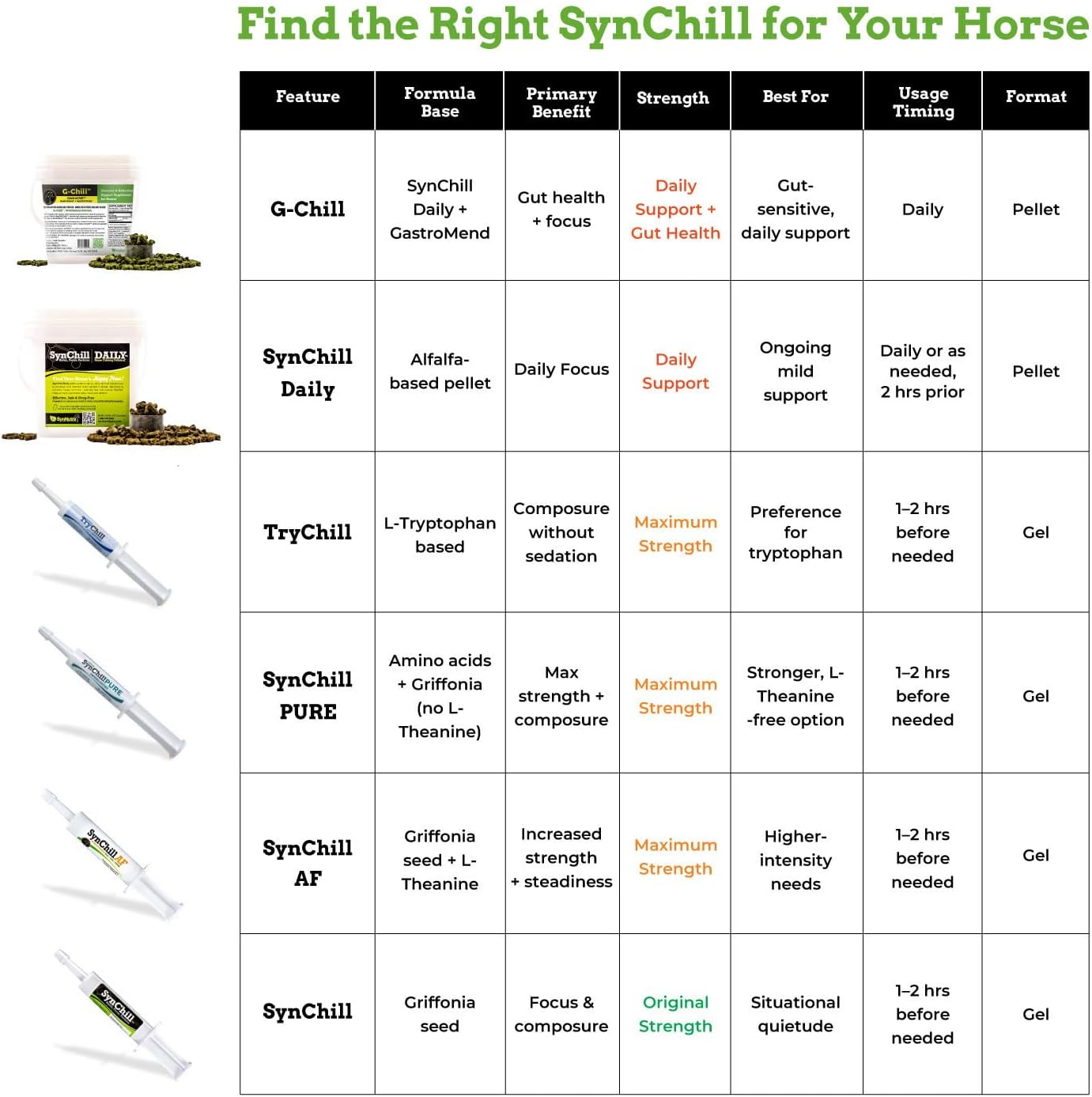 SynChill Oral Horse Calming Gel, 100% Natural & Nutritional Supplement, Lab Proven Results, Designed for Focus & Performance, Approved by Olympic Professionals & Veterinarians, Made in USA - 1 Pack