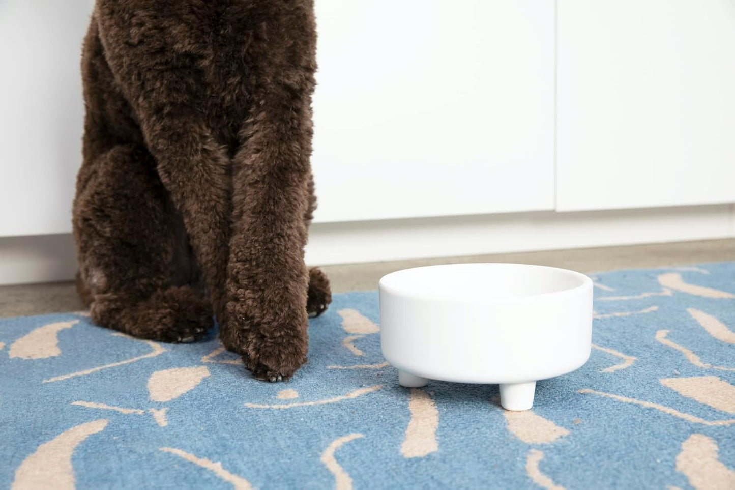 Waggo Uplift Ceramic Dog Bowl for Small Medium and Large Breeds - Heavyweight and Durable Pet Food and Water Dish Crock, Dishwasher Safe, Modern, Elevated Feeder (White, Small)