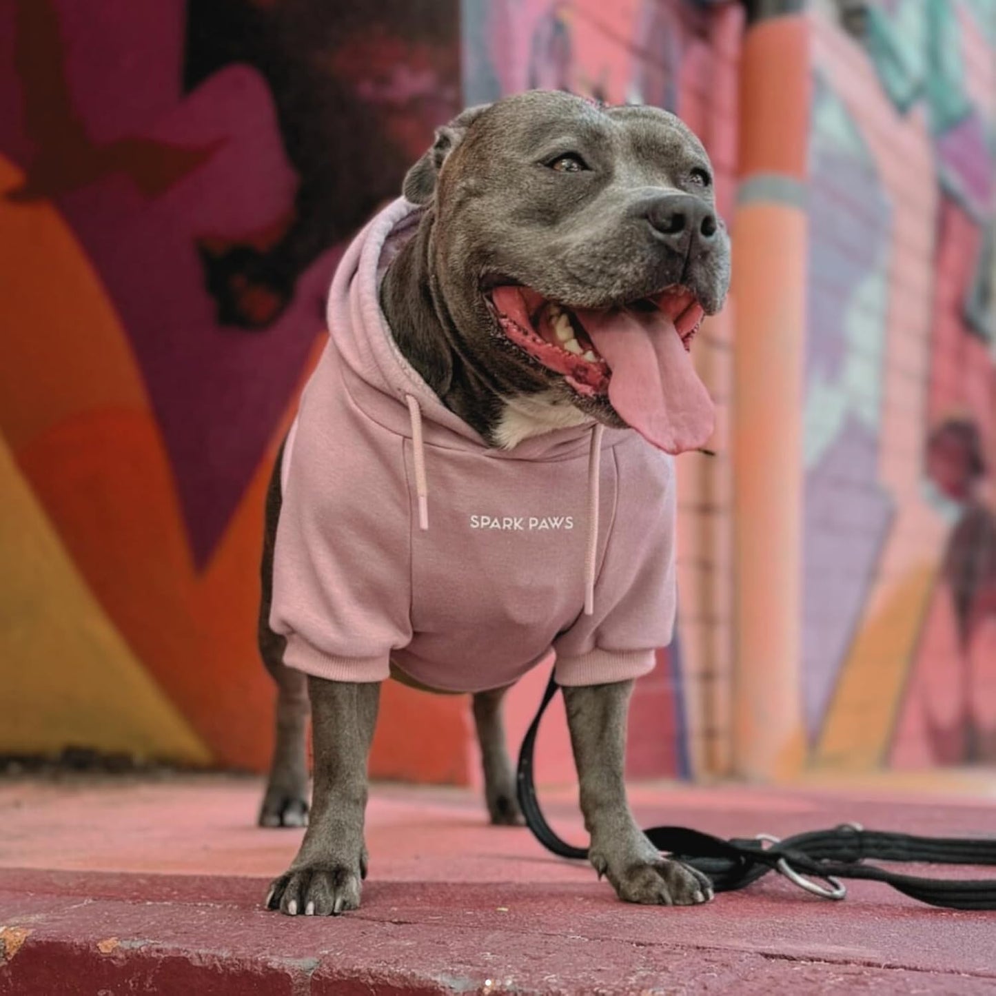 Spark Paws Dog Hoodie – Premium Dog Sweater for Small, Medium, and Large Dogs | Warm Outfits for French Bulldogs, Pitbull, Puppy, Winter Jacket Alternative - Dusty Pink - L