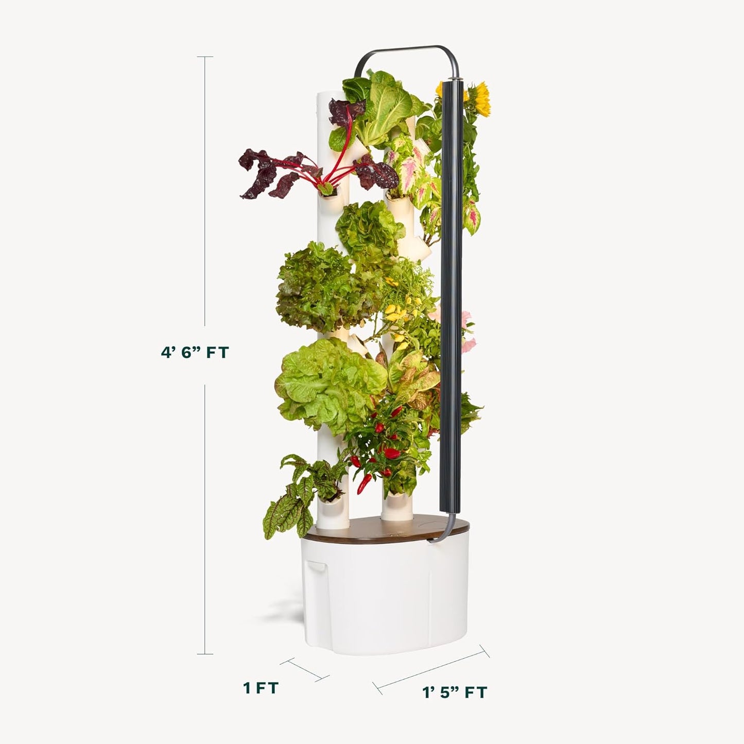 Gardyn Studio Hydroponics Growing System Kit & Vertical Indoor Garden Planter | Smart Herb Garden | Includes 16 Non-GMO Indoor Plants, Herbs, Vegetables & LED Grow Light for Your Home Gardening System