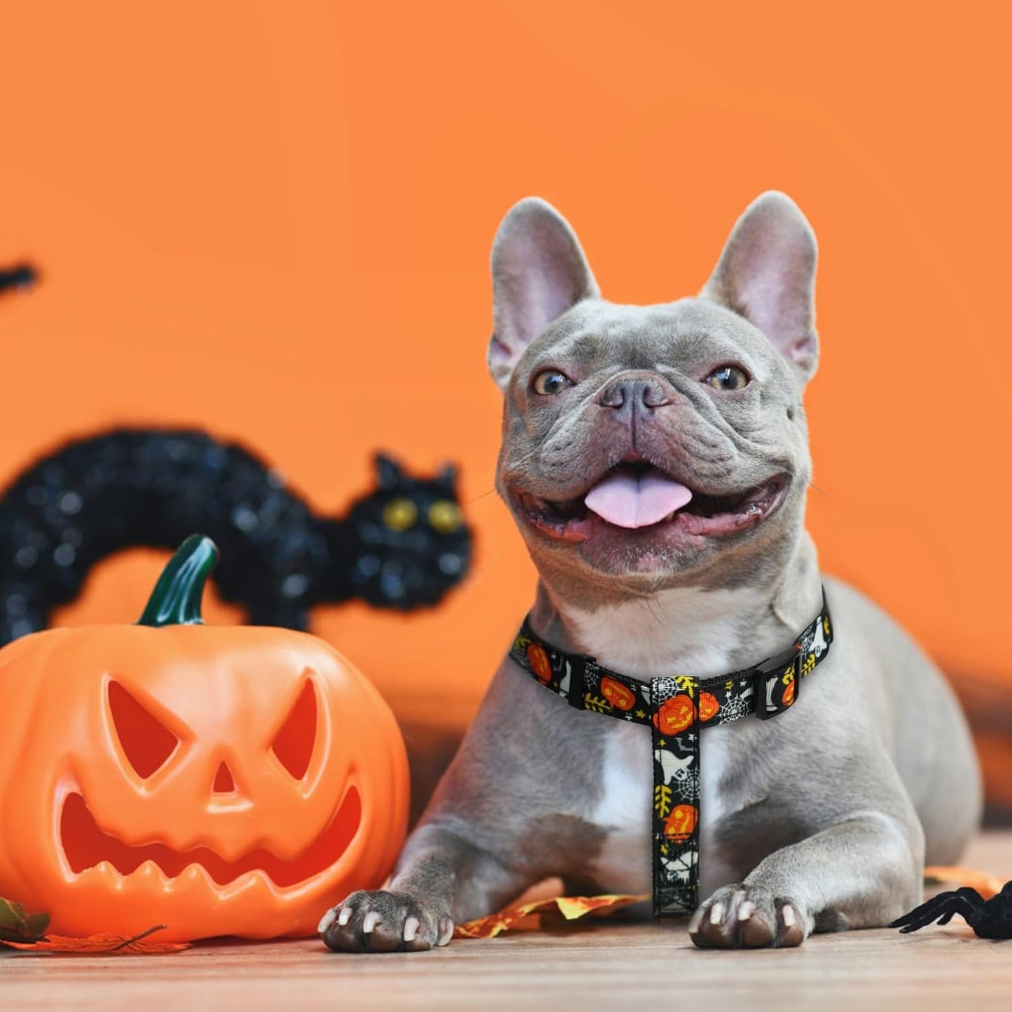 PUPTECK No Pull Dog Harness Soft Adjustable Basic Nylon Step in Puppy Vest Outdoor Walking with ID Tag, Halloween, M