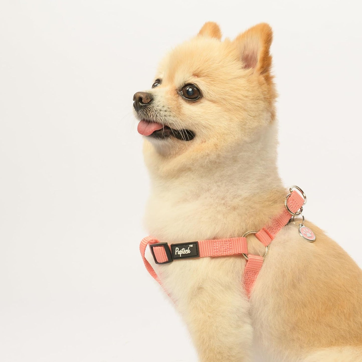 PUPTECK No Pull Dog Harness Soft Adjustable Basic Nylon Step in Puppy Vest Outdoor Walking with ID Tag, LightCoral, XS