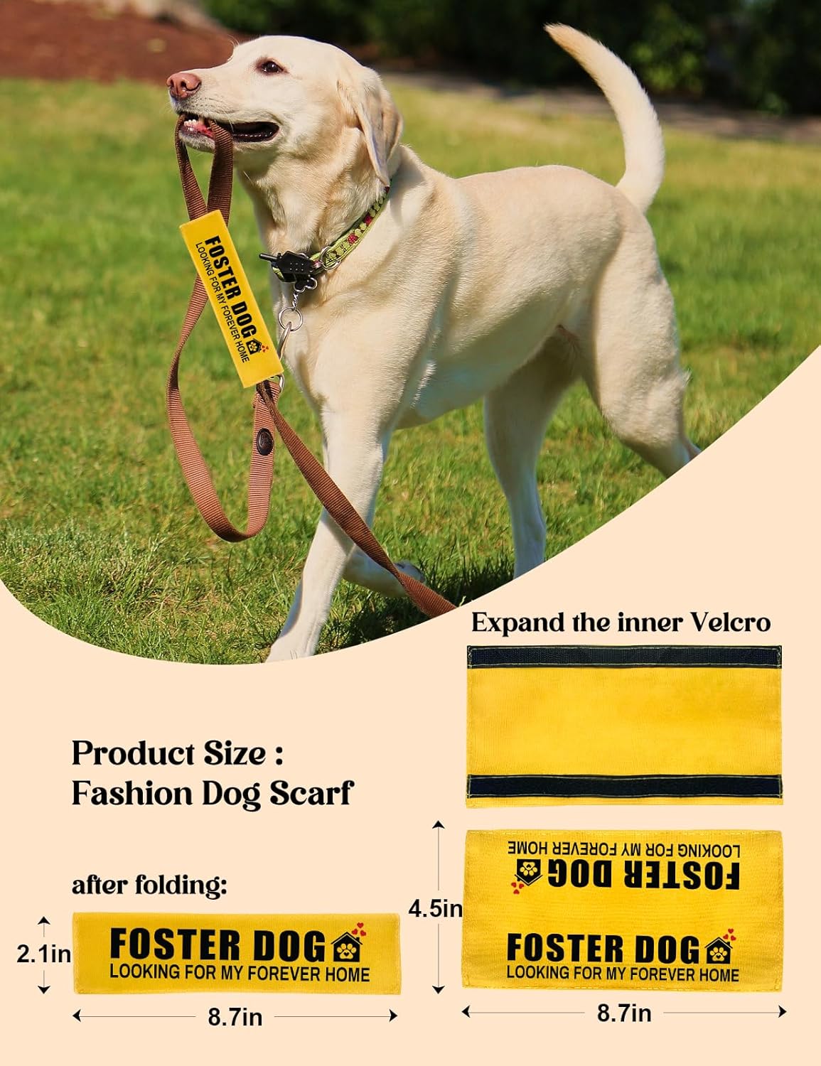 Foster Dog Looking for My Forever Home Dog Leash Sleeve, Funny Yellow Dog Leash Wrap Alert Hanging ID Patch Tag, Service Dog Leash Wrap Dog Pet Leash Sleeve Pet Birthday Gifts for Dog Owners