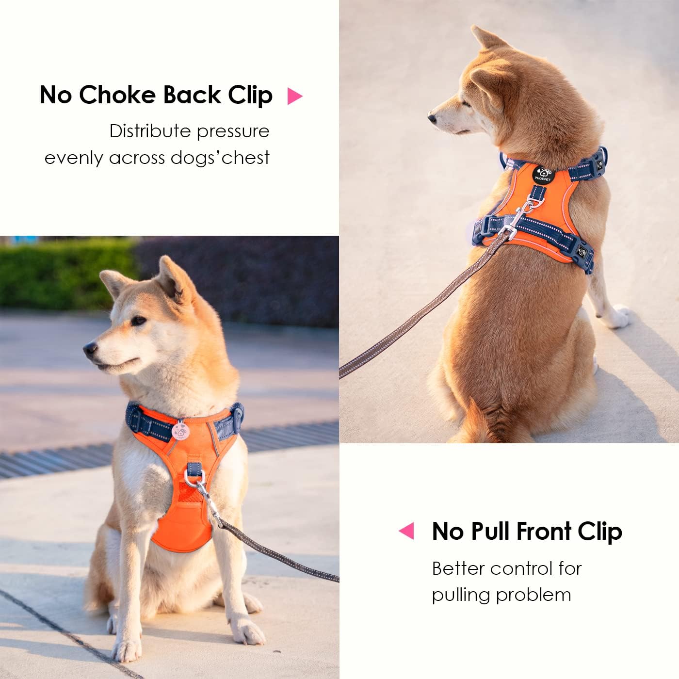 PHOEPET No Pull Dog Harness, Unique Colors Reflective Adjustable Dog Vest, with Soft Training Handle Metal Clips for Small Medium Large Dogs (Orange Base & Blue Straps,XL)