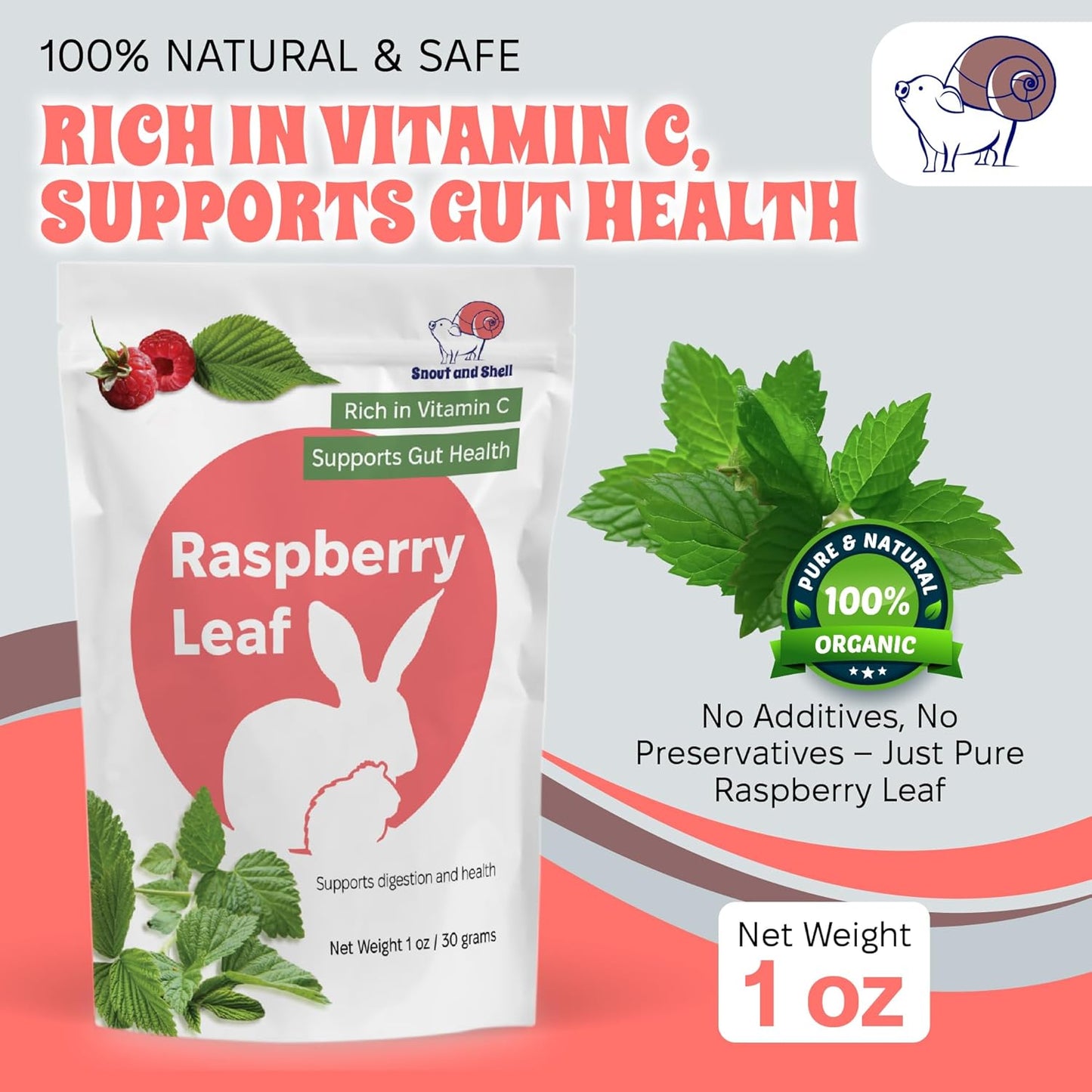 Snout and Shell Raspberry Leaf for Small Pets – 100% Natural Treat for Rabbits, Guinea Pigs, Hamsters & More – Rich in Vitamin C & Supports Gut Health – 1 oz (30g)